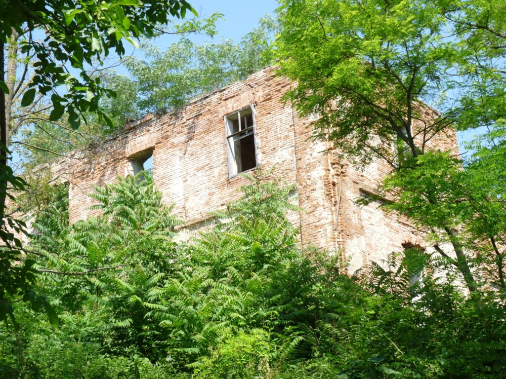 A máriacsalád-pusztai pálos templom és kolostor
