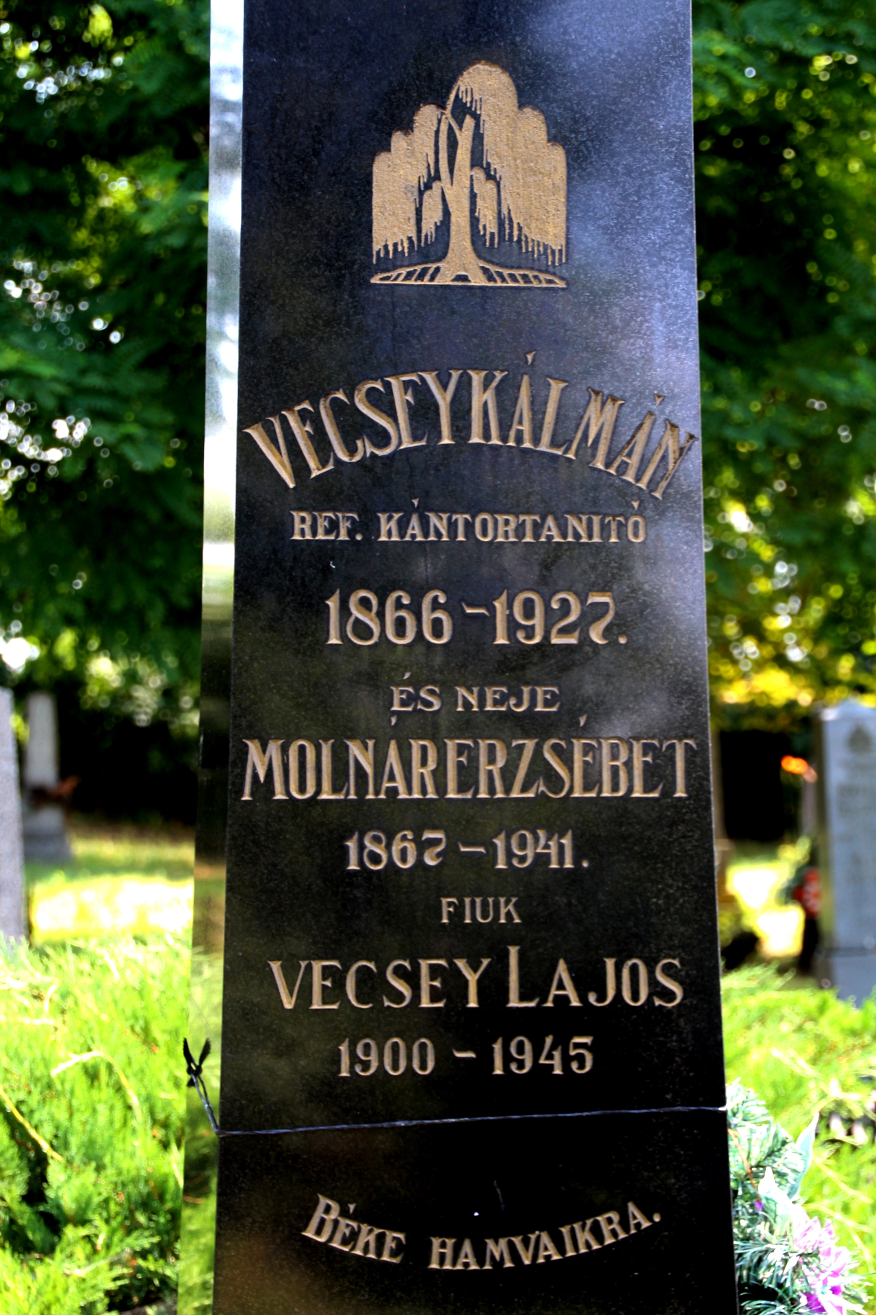 Vecsey Lajos sírja