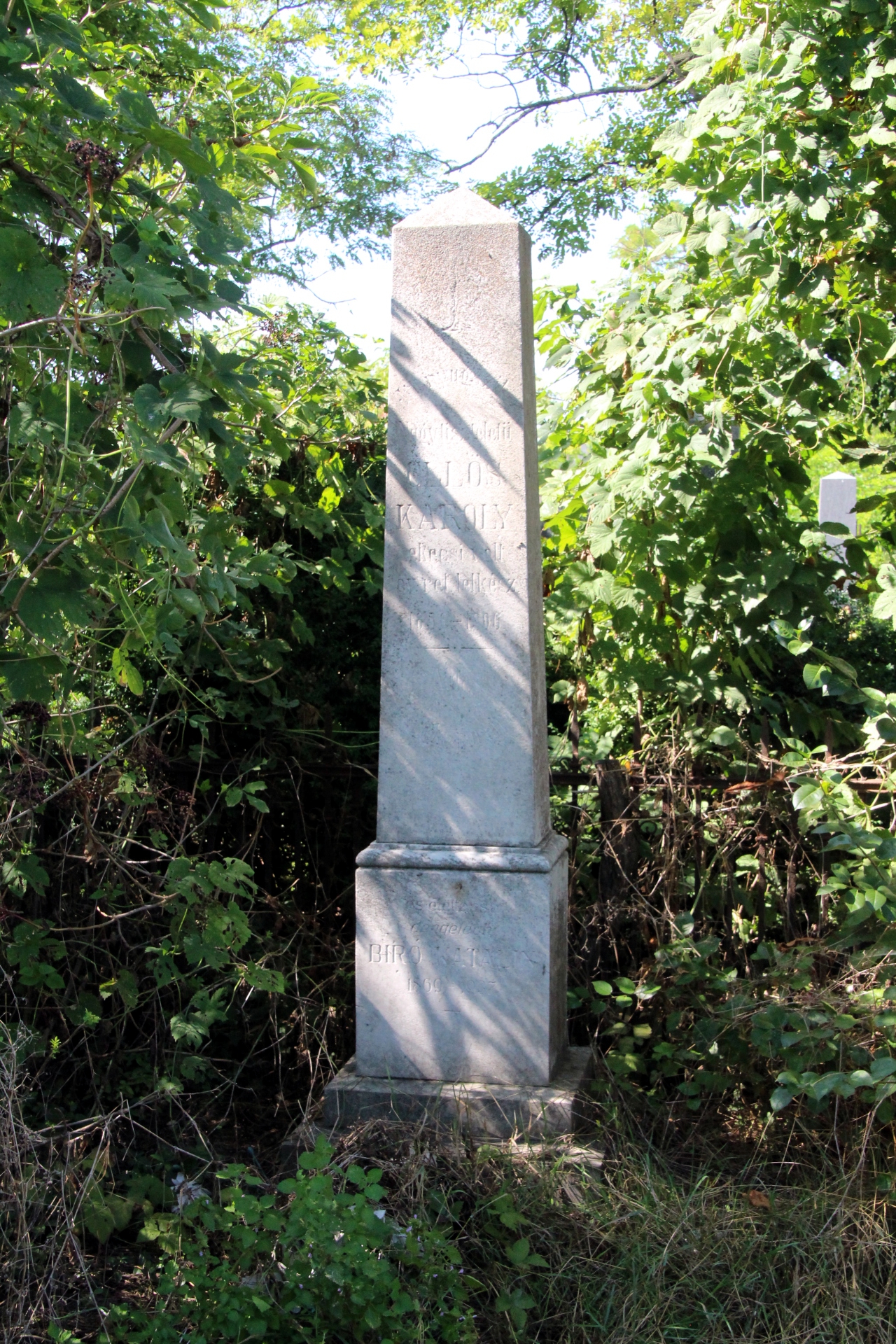 Öllös Károly református lelkész sírja