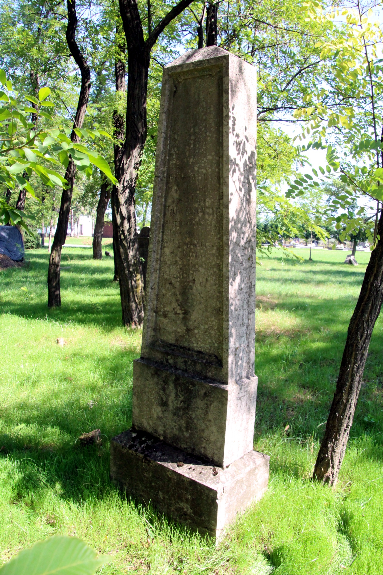 Tarcsy Antal tanító sírja