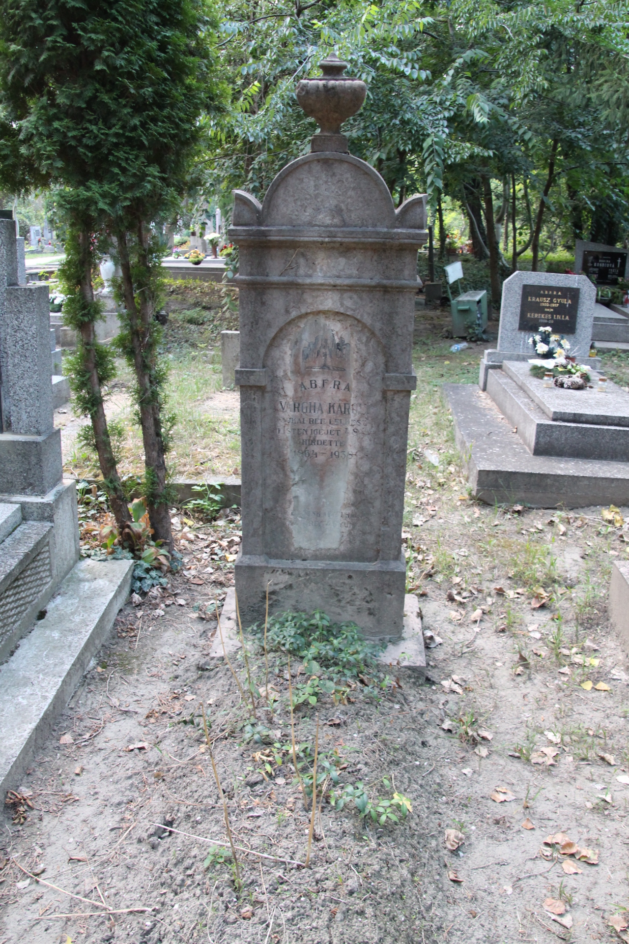 Vargha Károly református lelkész sírja