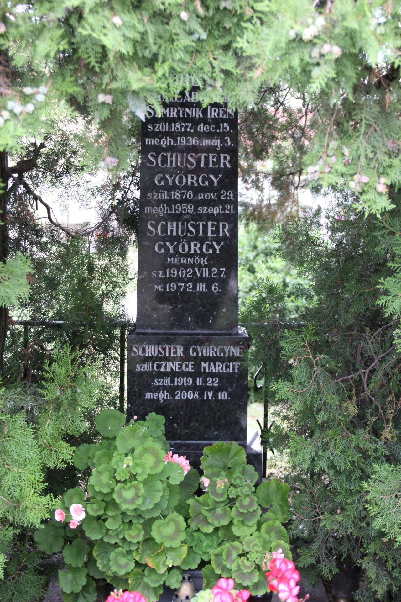 Schuster család sírja