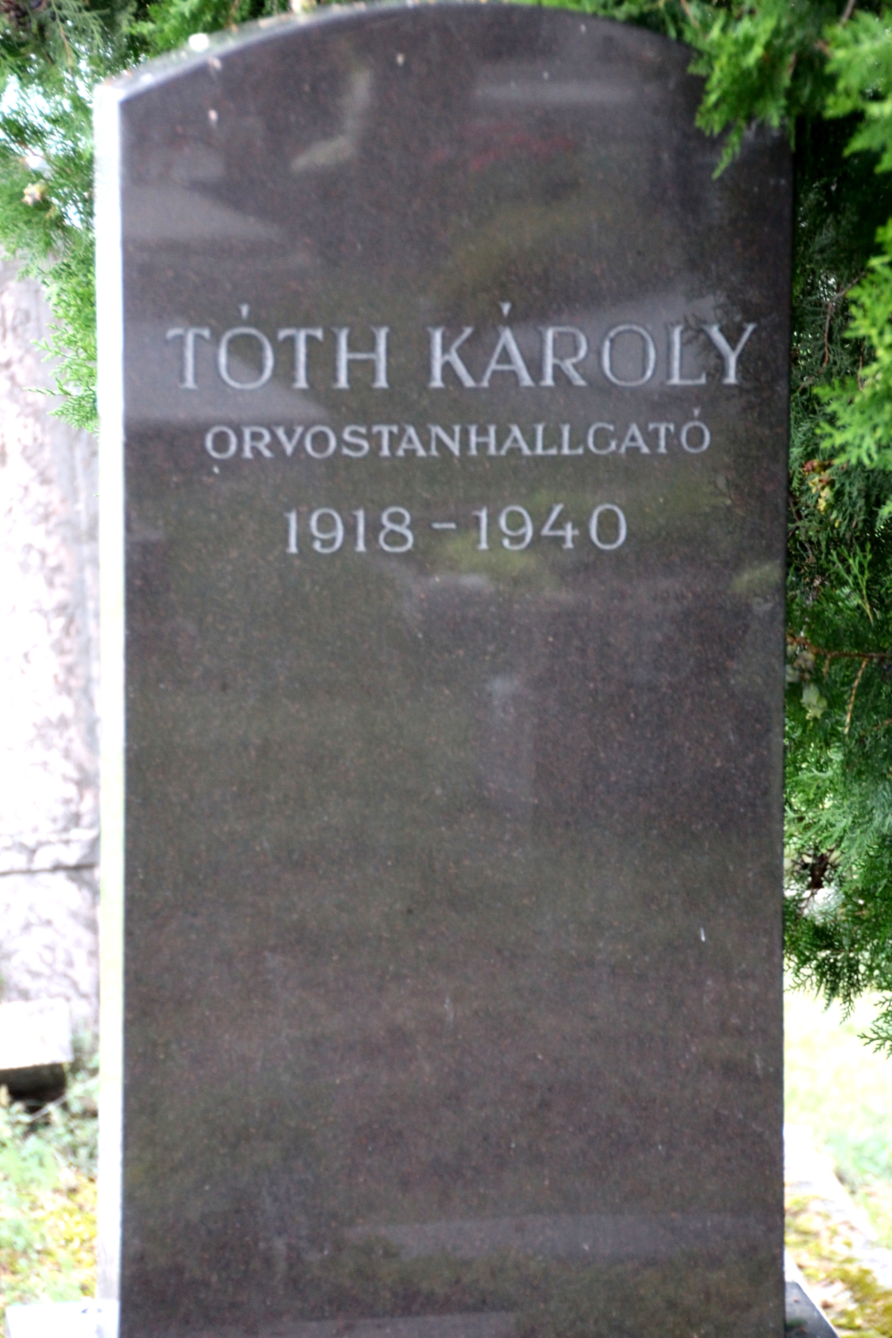 Tóth Károly orvostanhallgató sírja