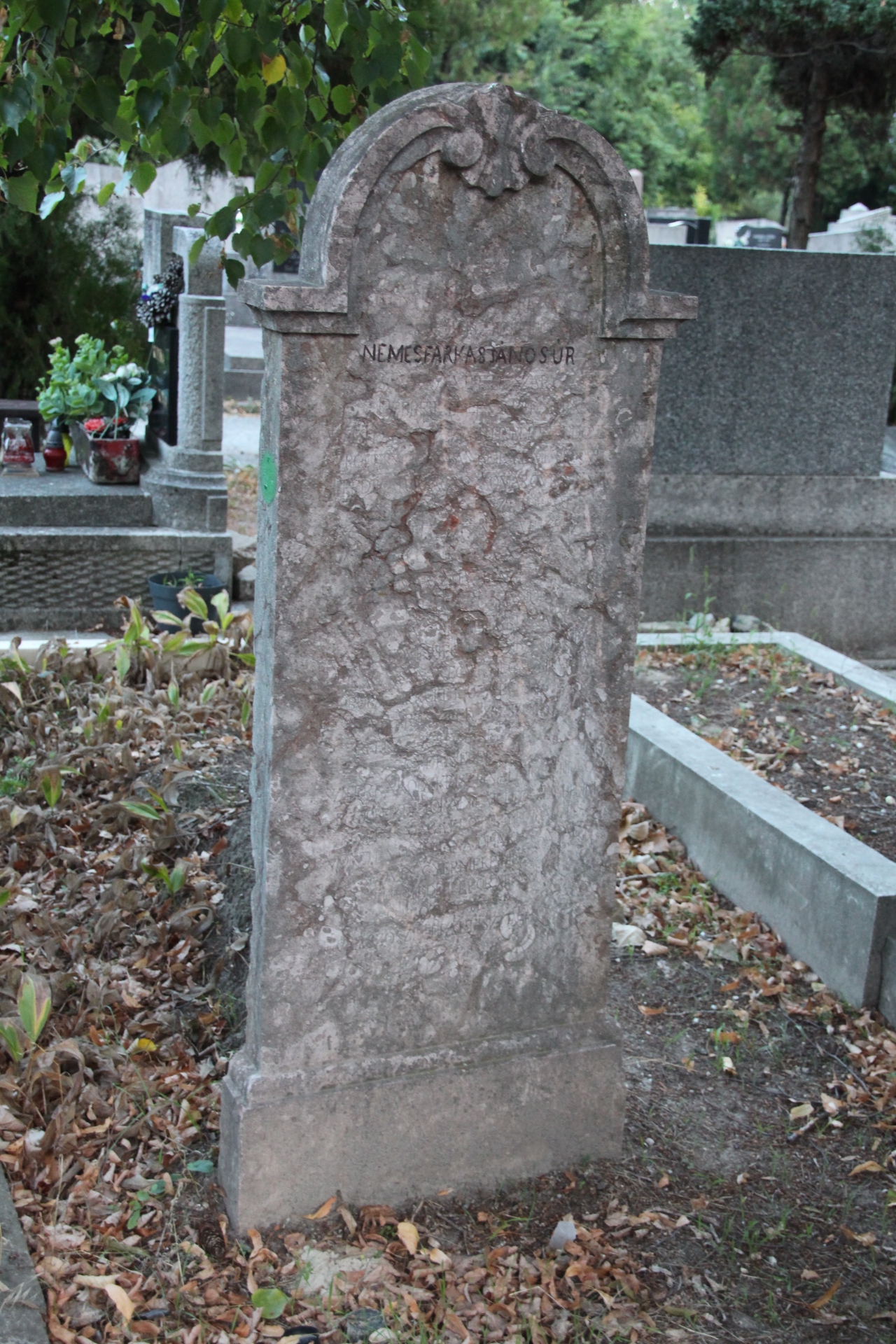 Nemes Farkas János sírja