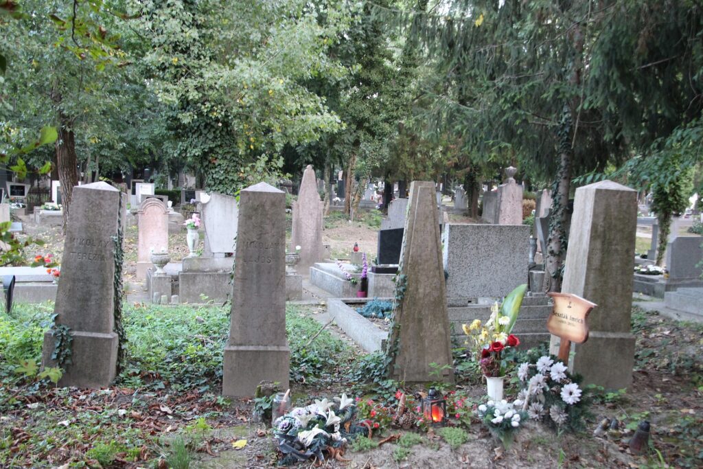 Mikolay Lajos alorvos sírja