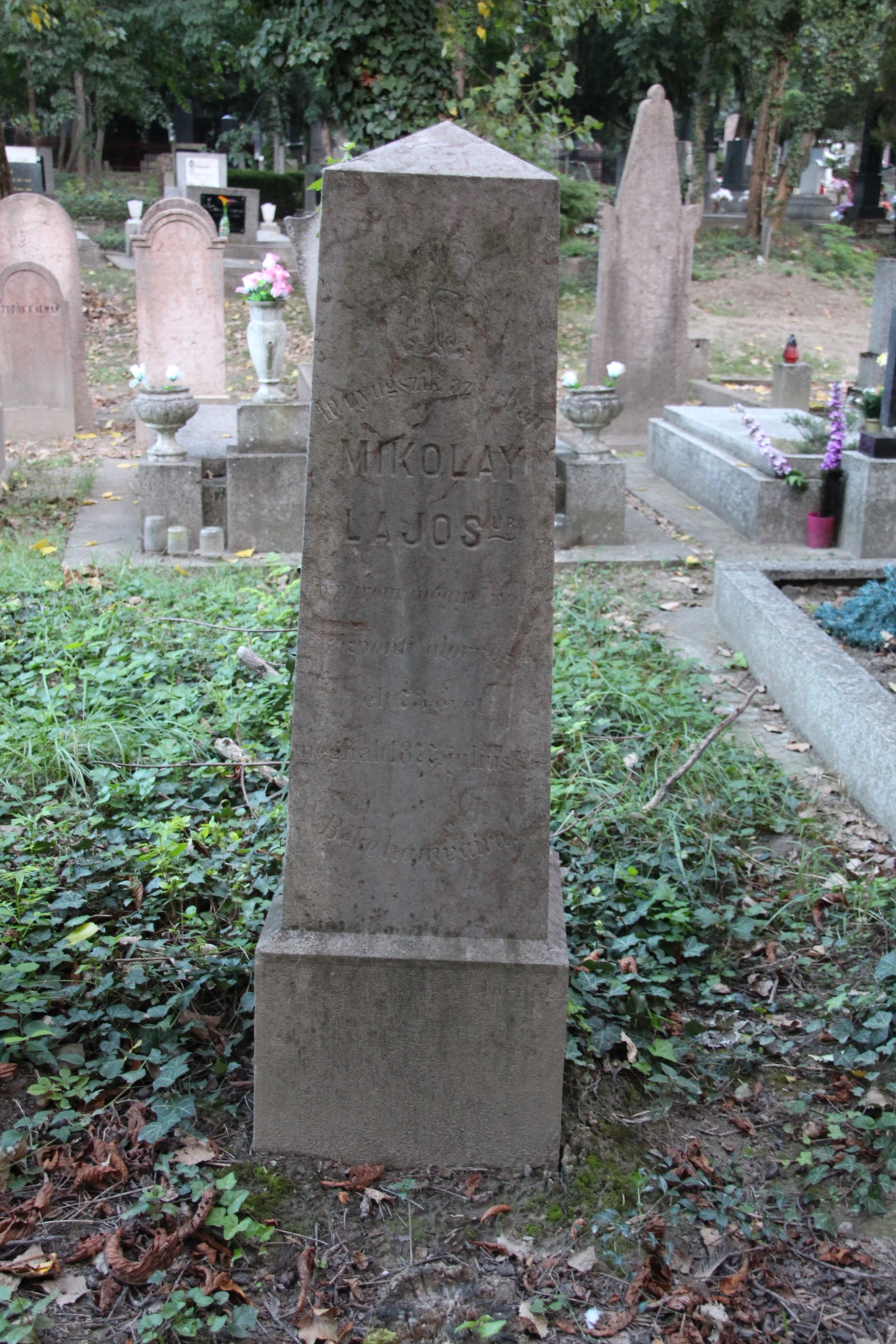 Mikolay Lajos alorvos sírja