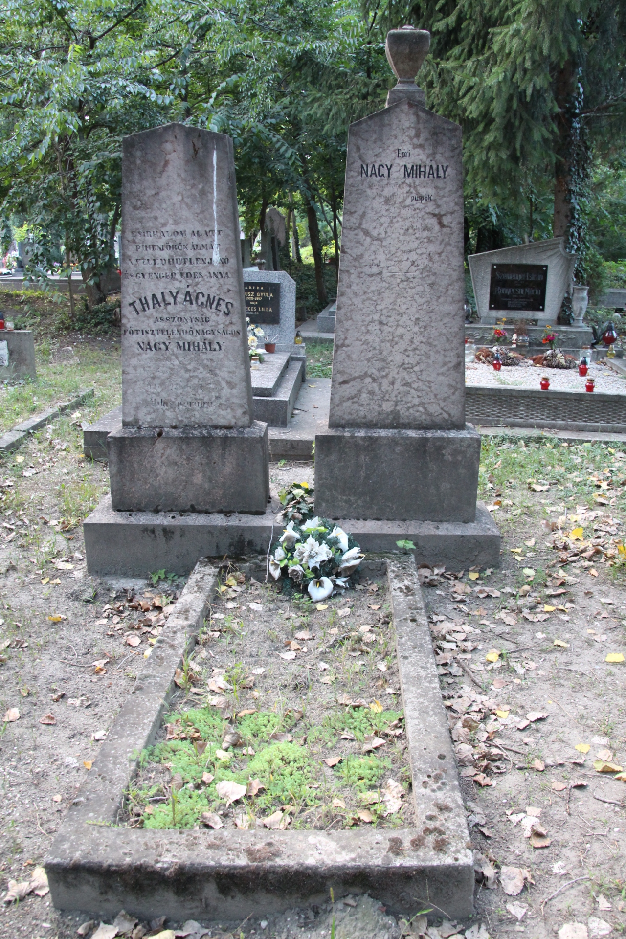 Eőri Nagy Mihály református püspök, egyházi író, királyi tanácsos sírja