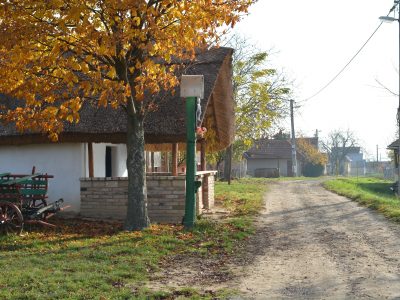 Krisztus kereszt (fa)