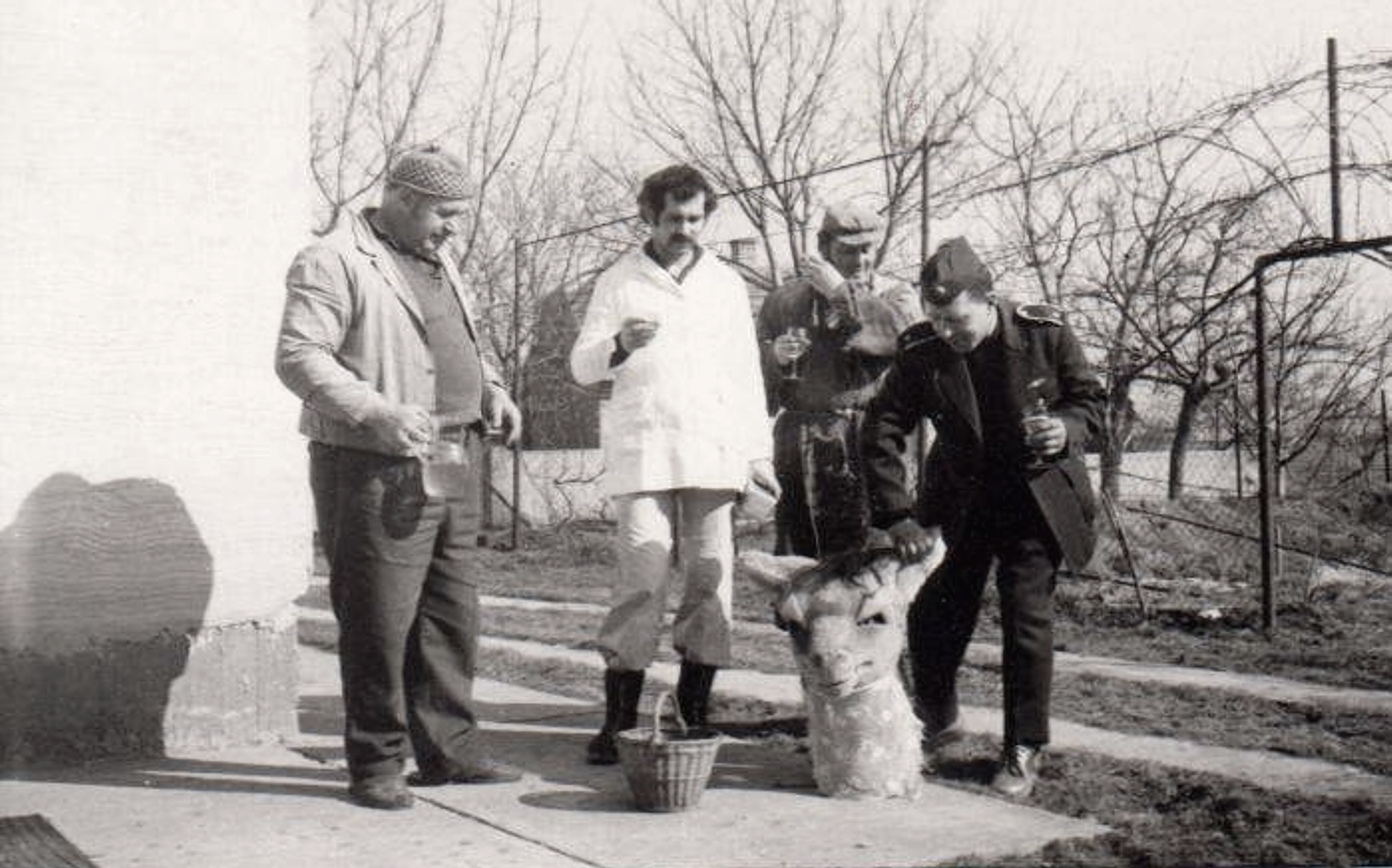 bacsfa-dorejaras-1976-3