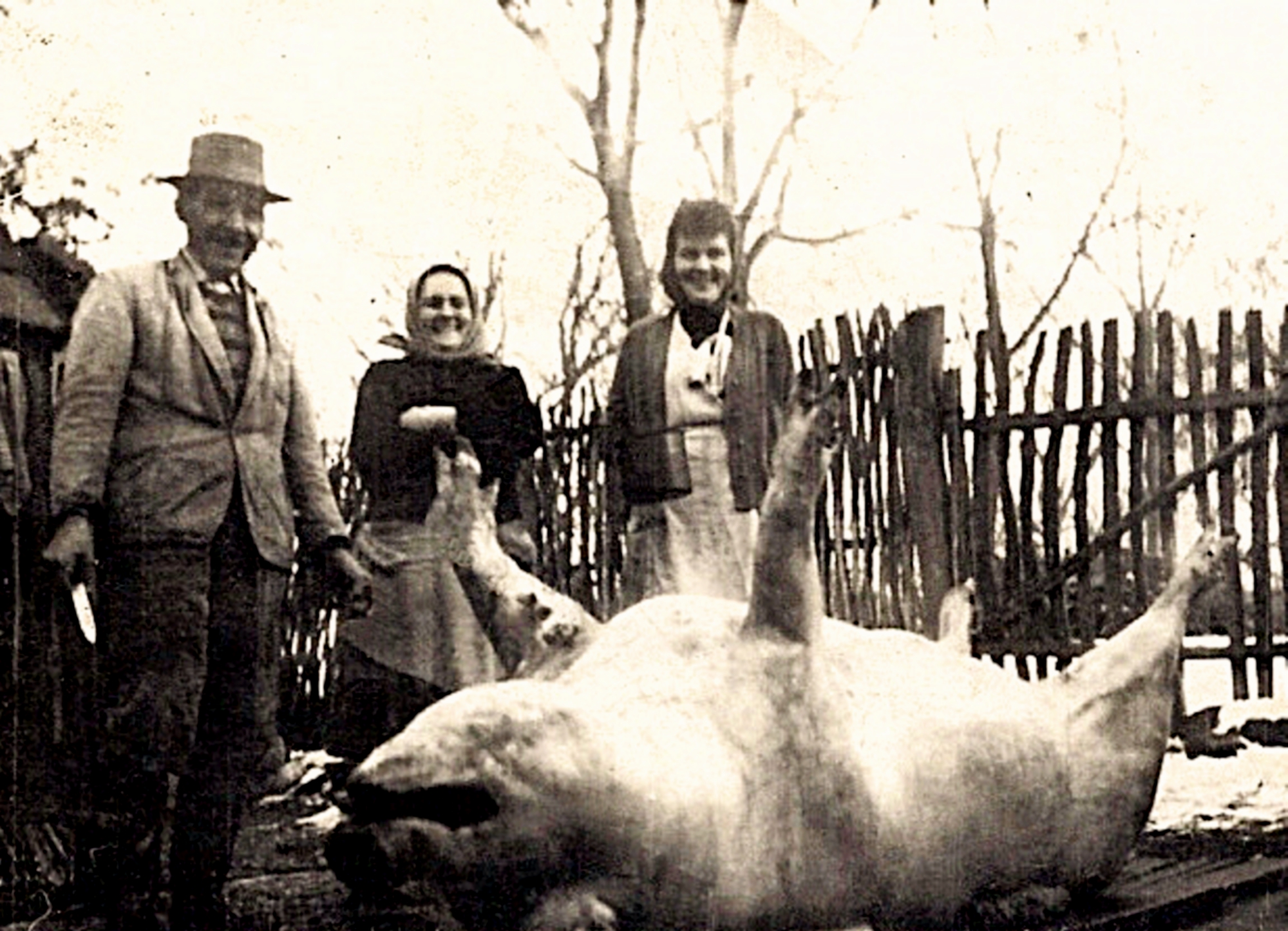 hontfuzesgyarmat-disznooles-1962-2-4