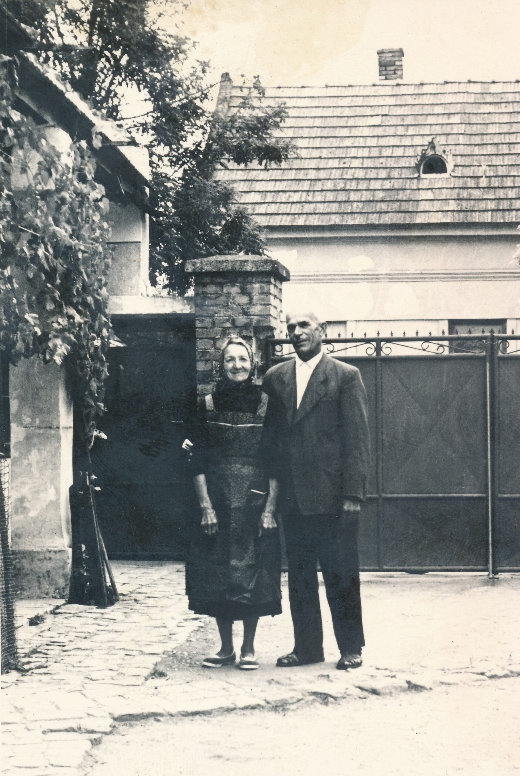 rete-vasko-istvan-hollosy-jusztina