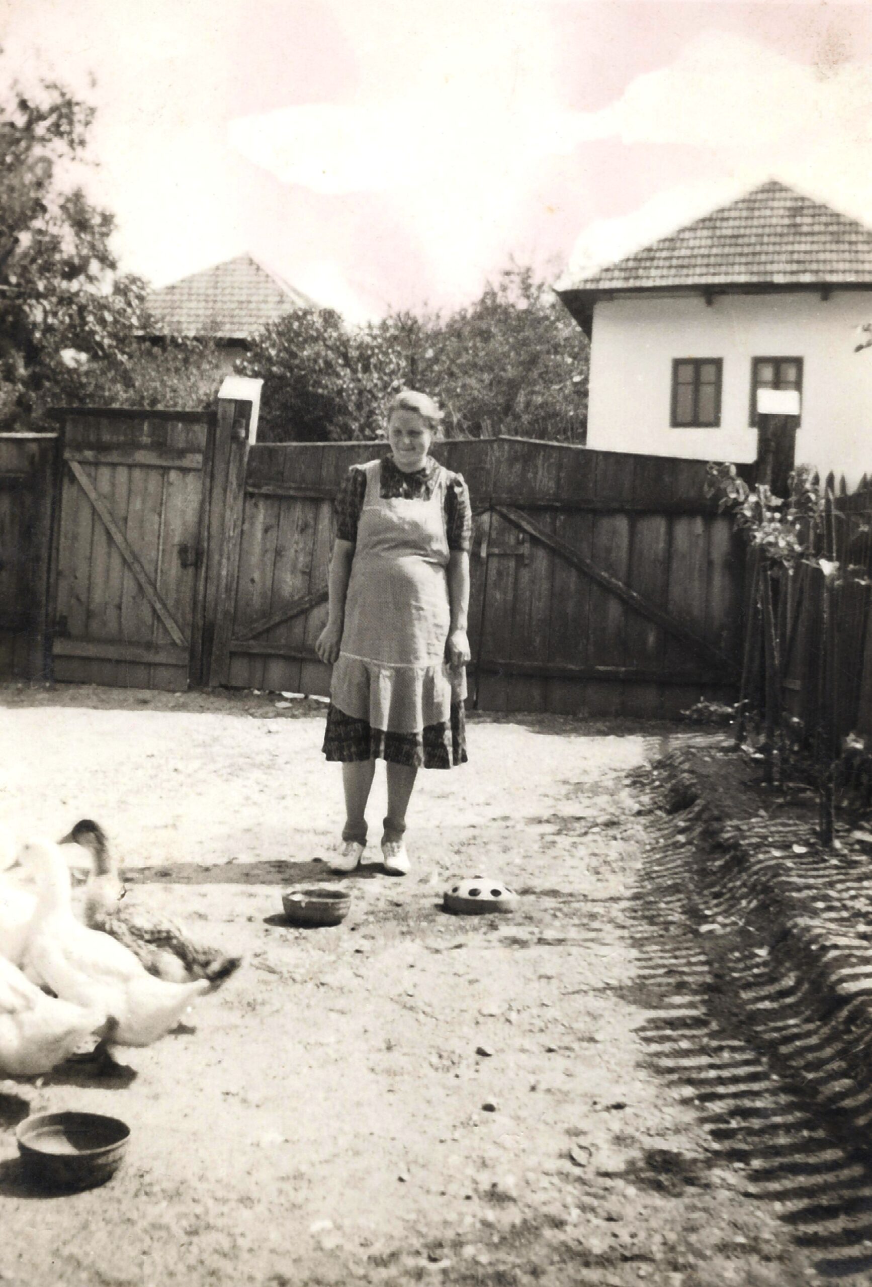 hontfuzesgyarmat-asszony-kacsakkal-az-udvaron