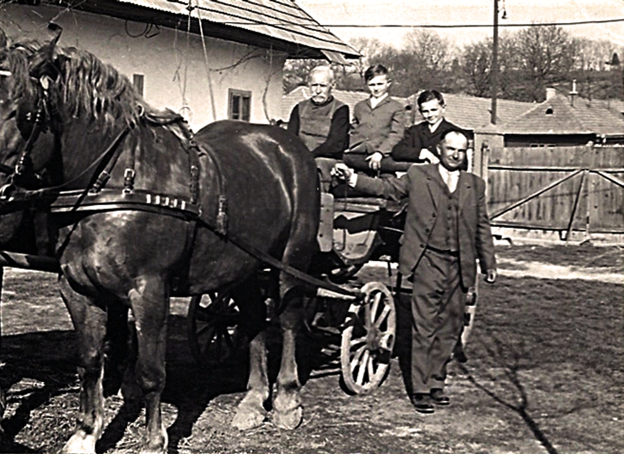 hontfuzesgyarmat-lovaskocsi-4