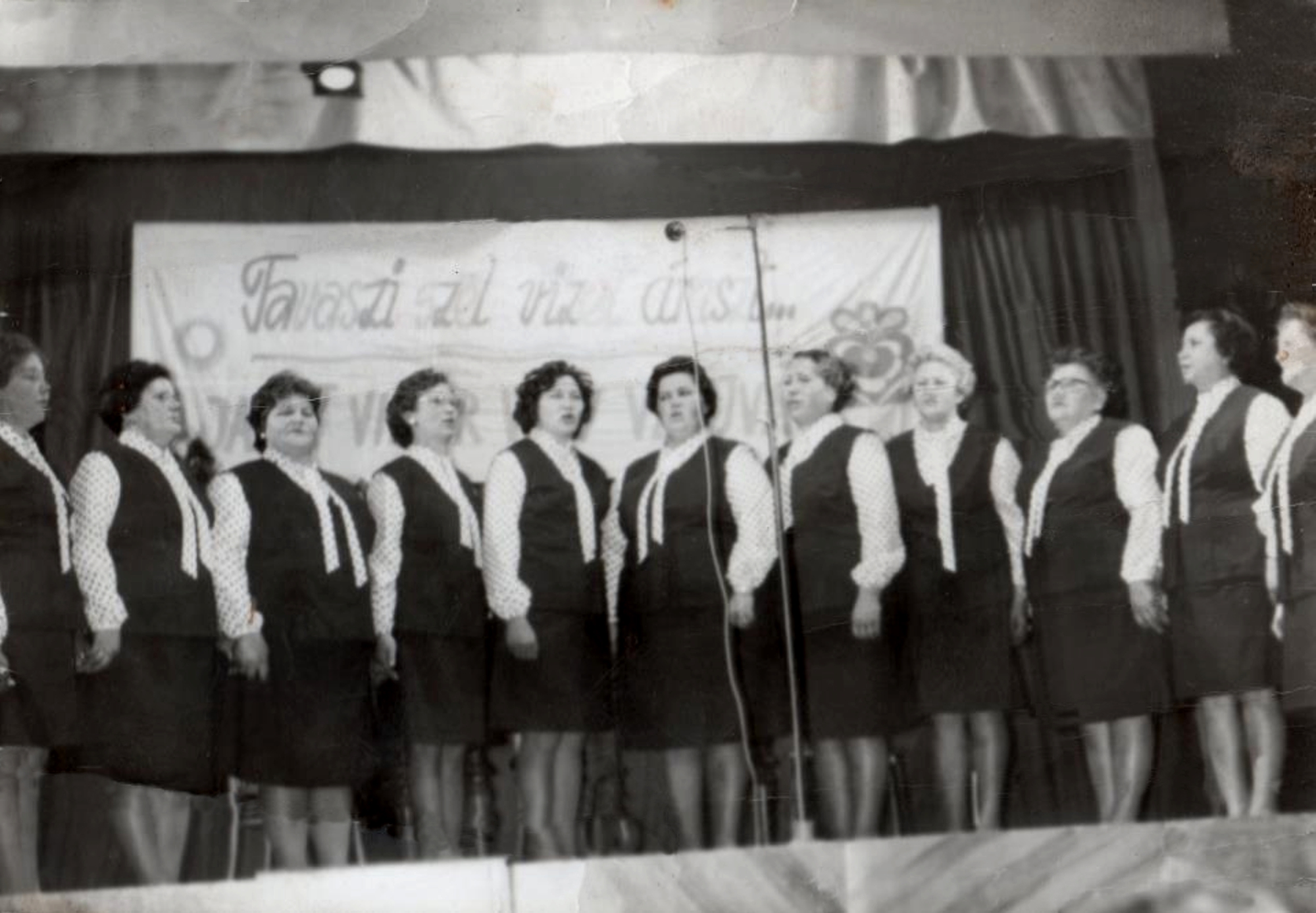 vaga-nepdalkor-tavaszi-szelen