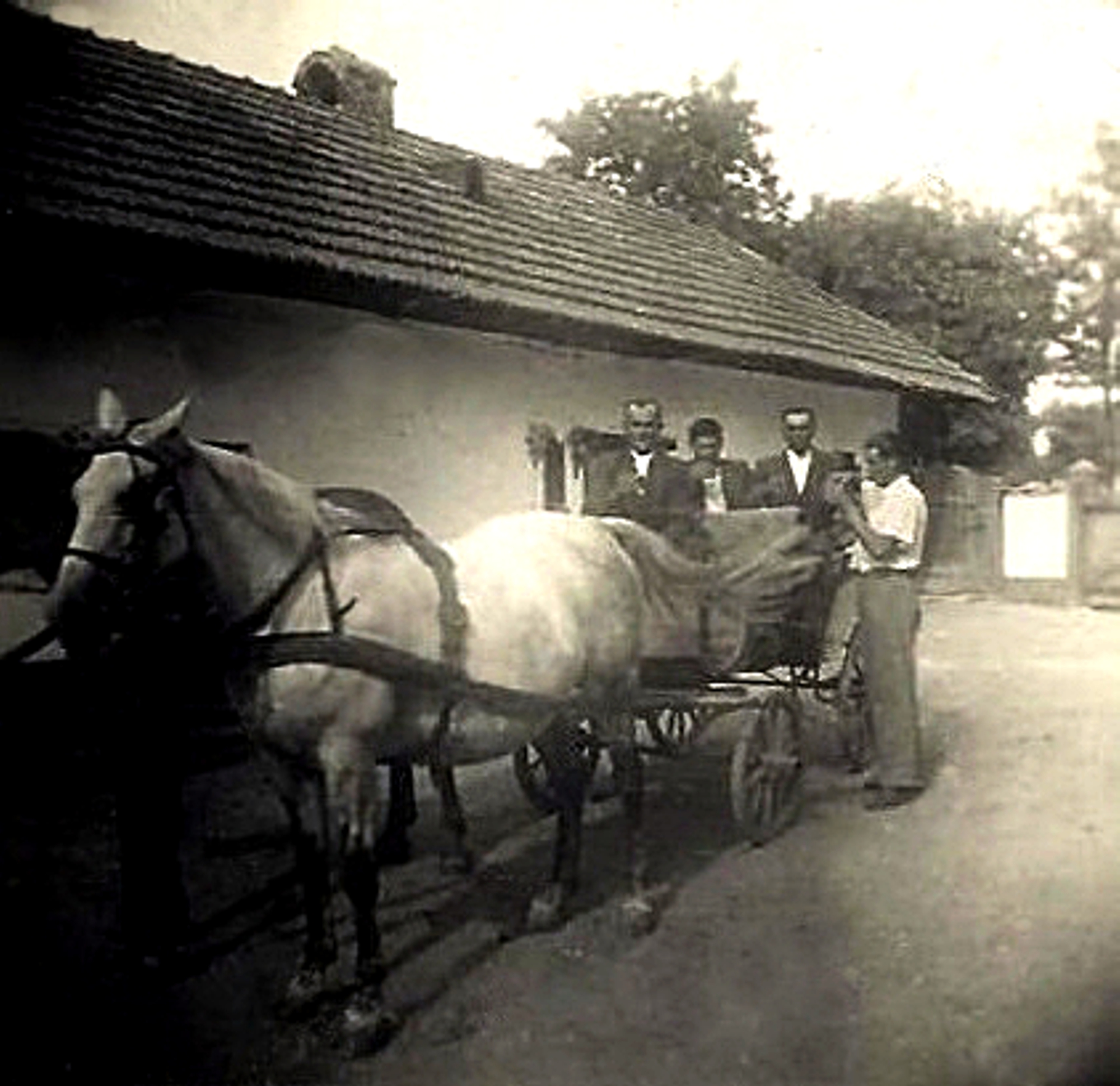 hontfuzesgyarmat-lovaskocsi-2