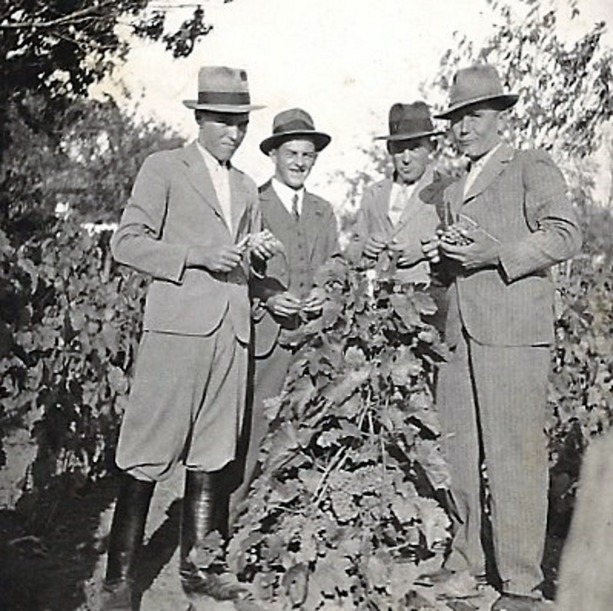 hontfuzesgyarmat-gazdak-a-szoloben