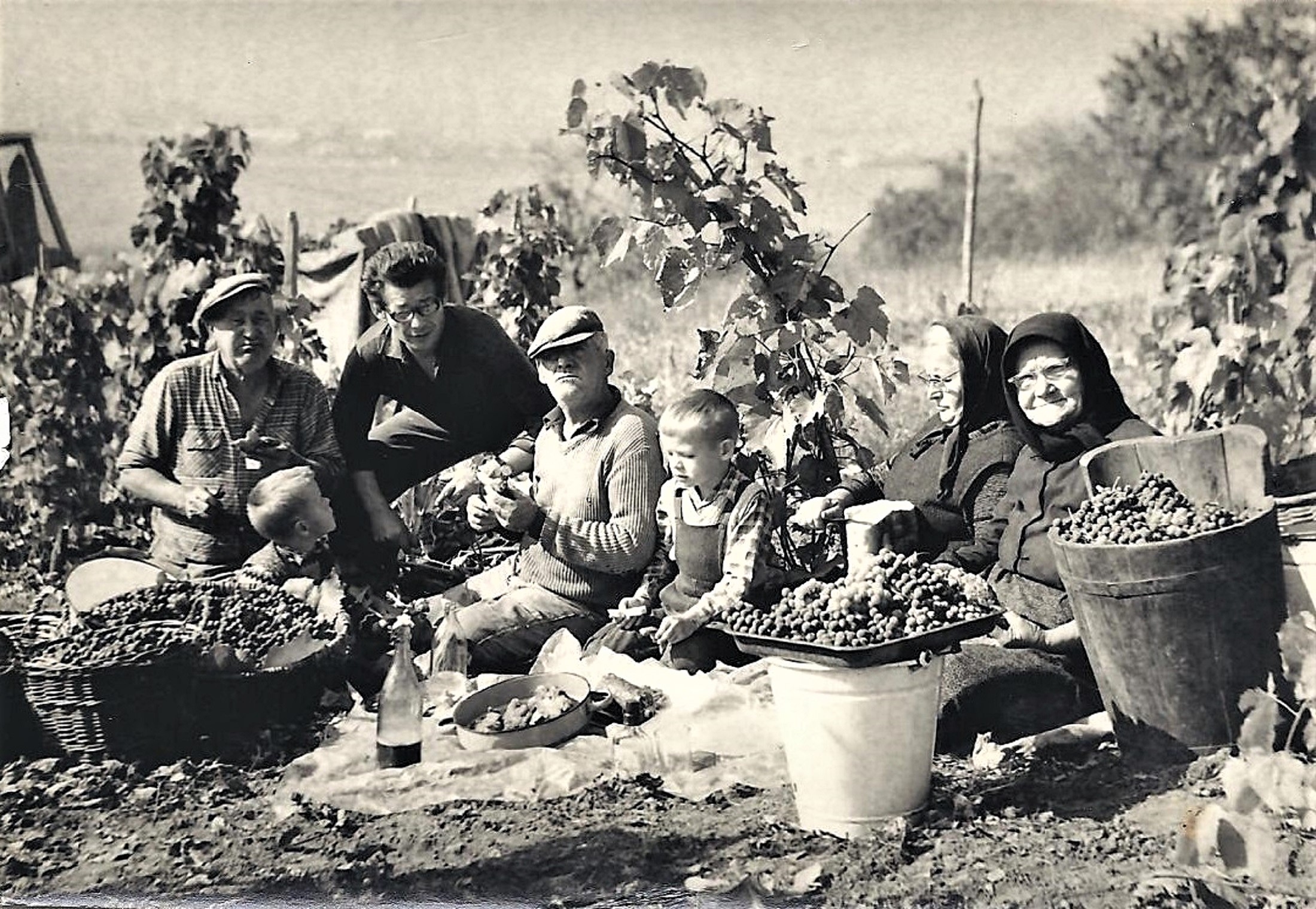 hontfuzesgyarmat-szuret