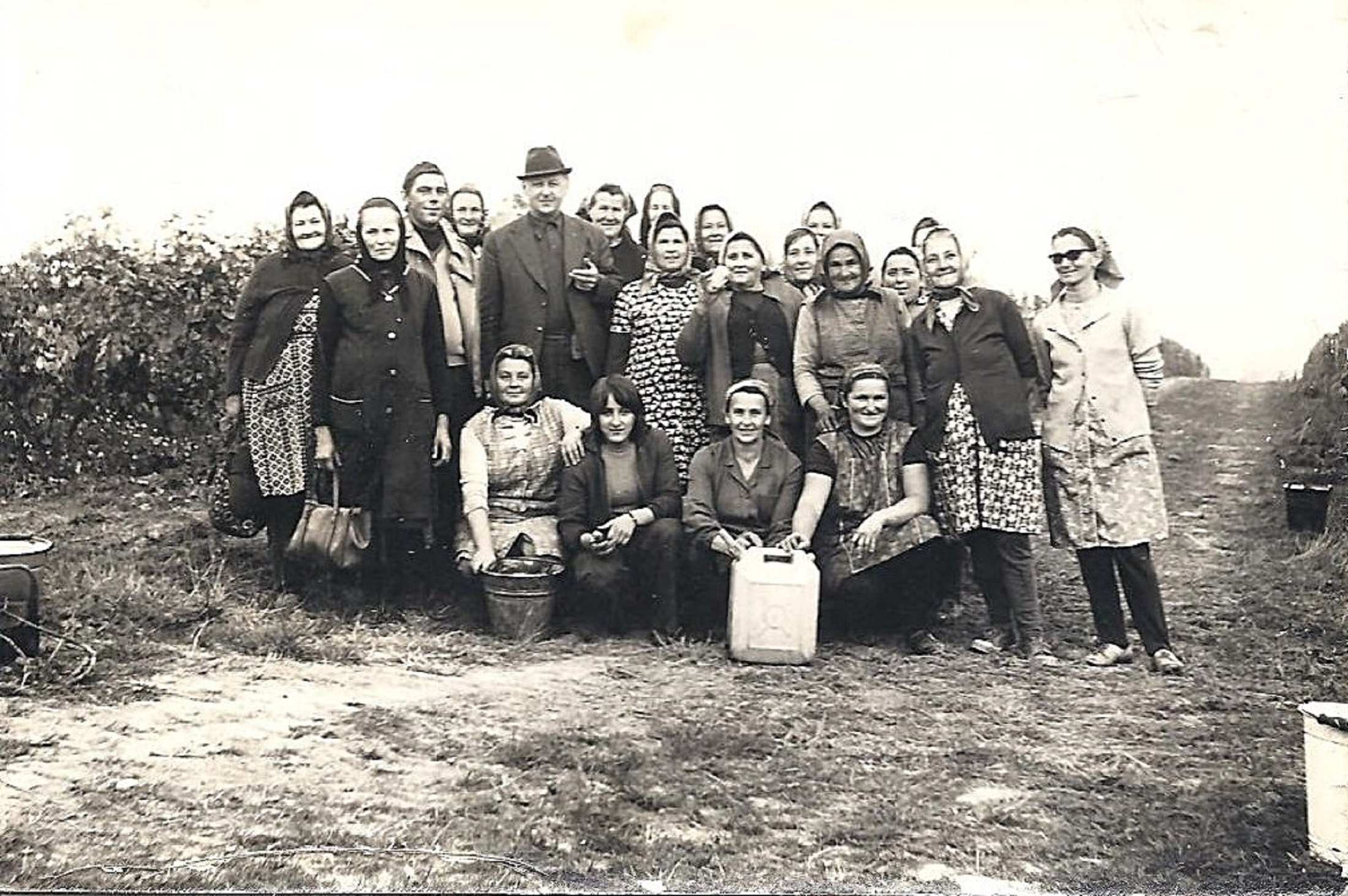 hontfuzesgyarmat-szuret-az-Ebesen-1977