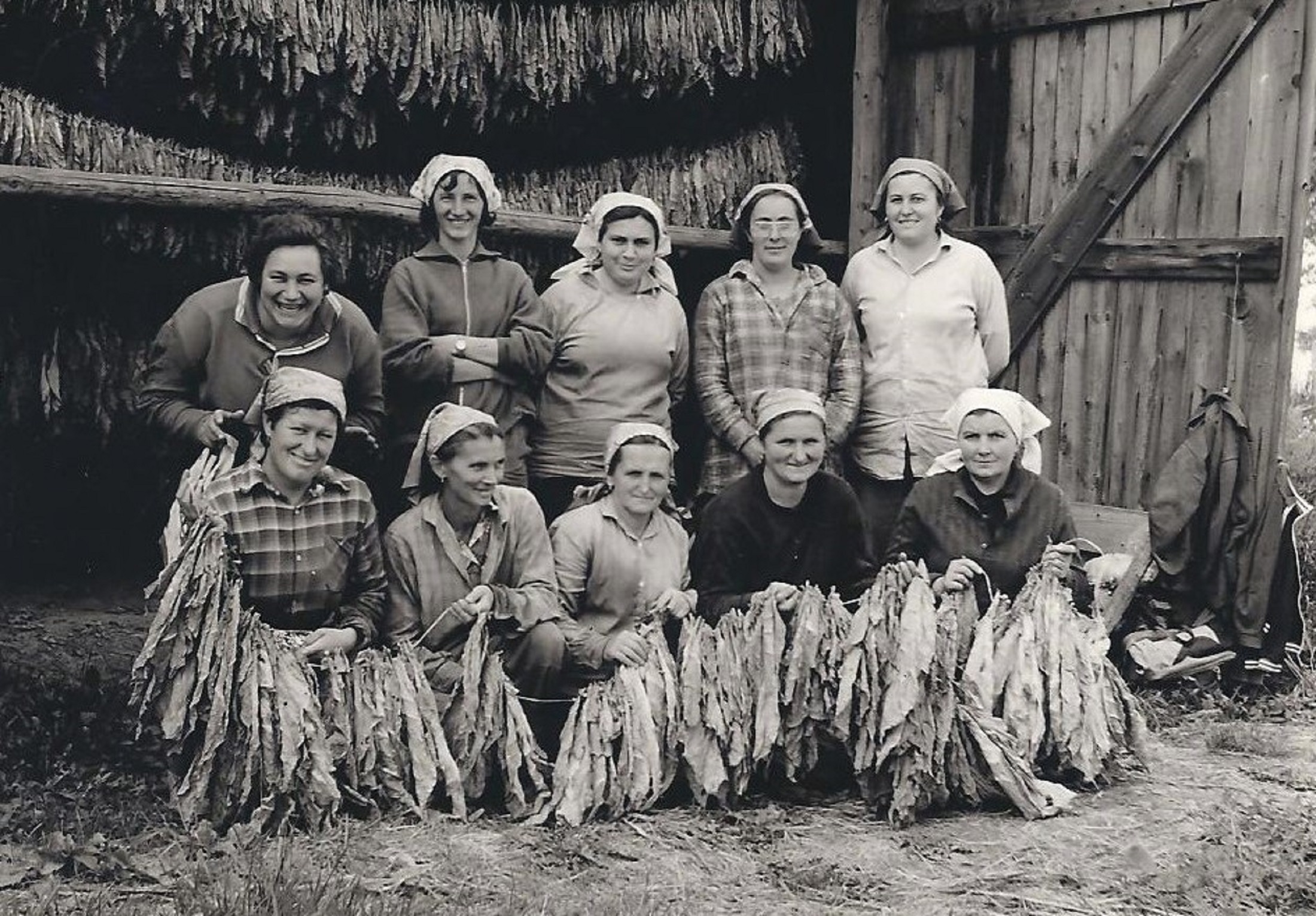 hontfuzesgyarmat-dohanyszedes (5)