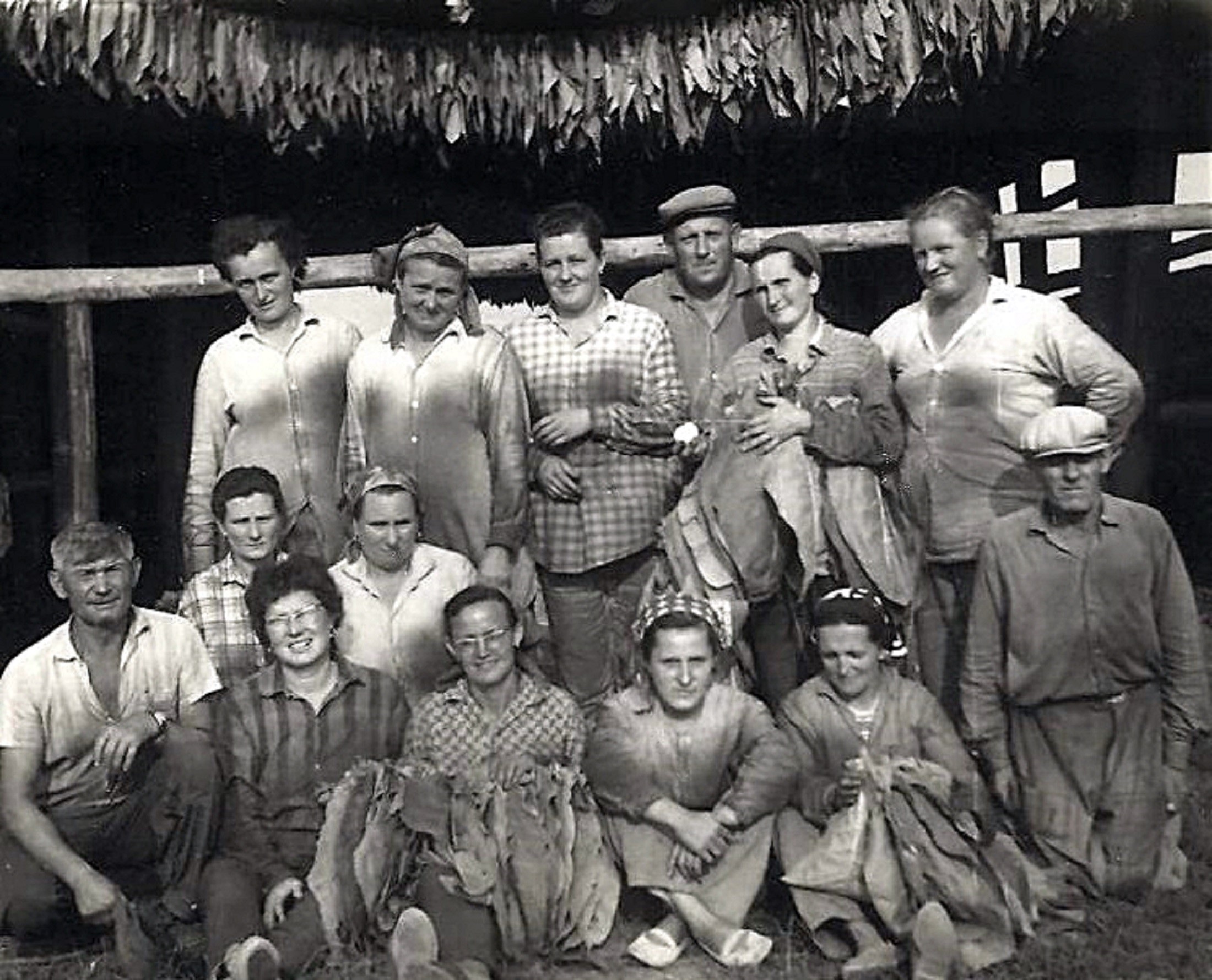 hontfuzesgyarmat-dohanyszedes (6)