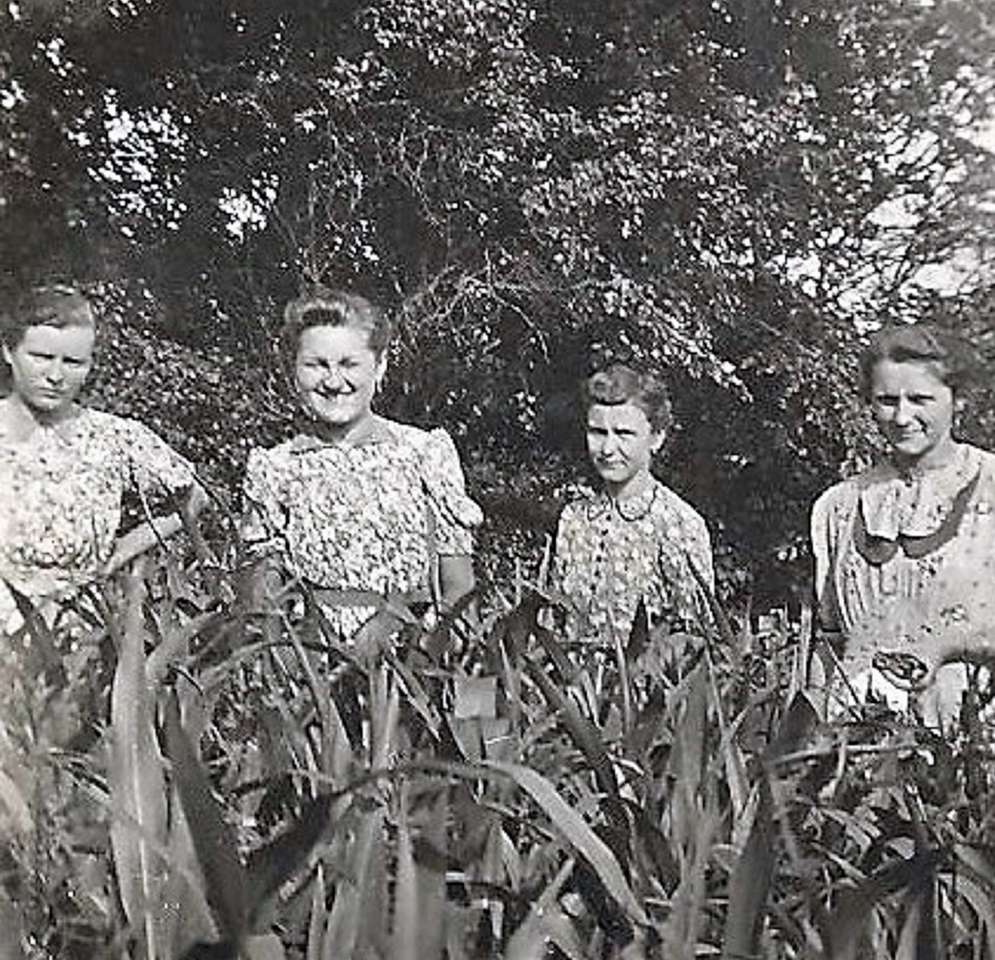 hontfuzesgyarmat-lanyok-a-kukoricasban