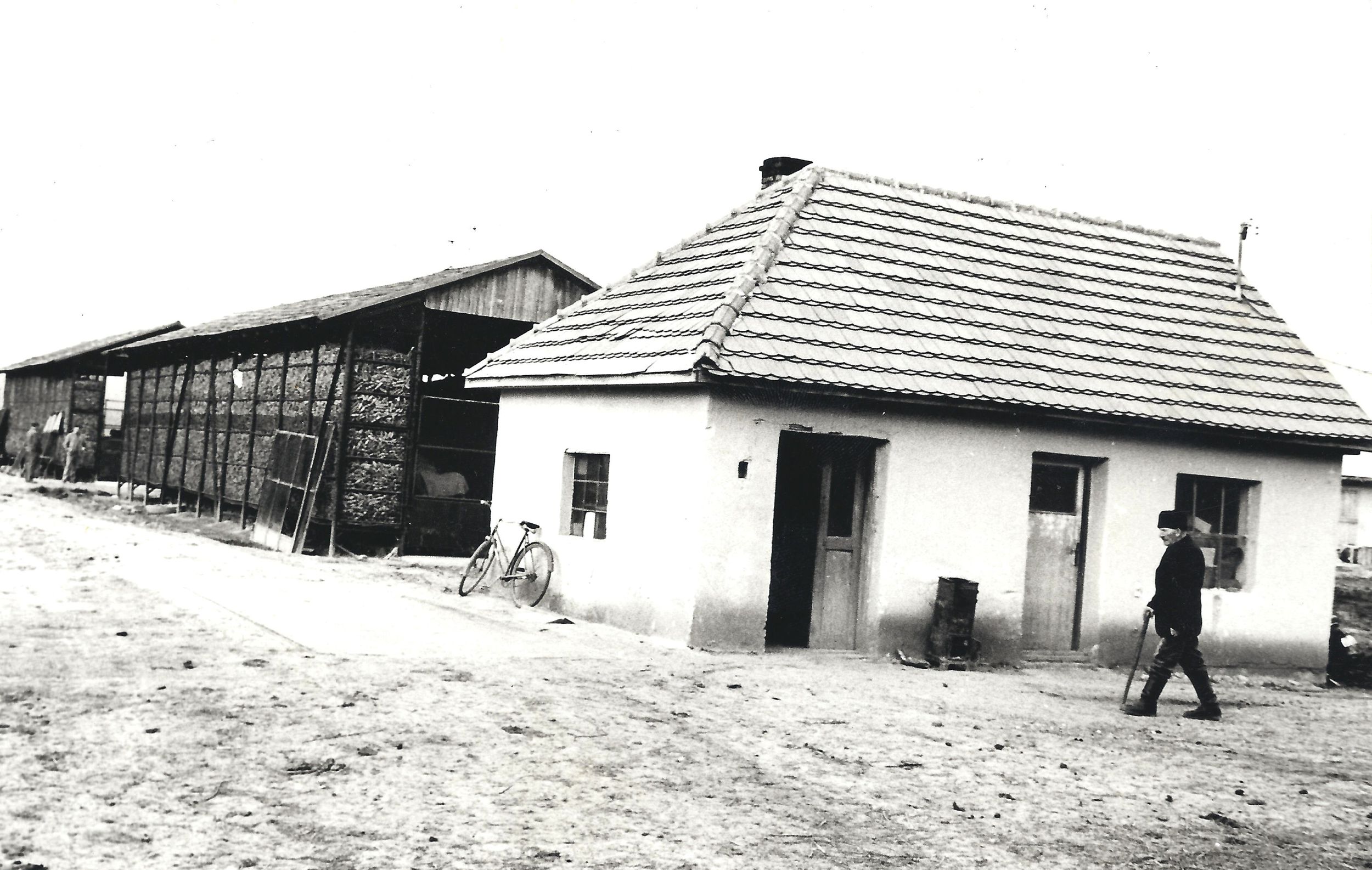 hontfuzesgyarmat-falu-jrd-kukoricagore