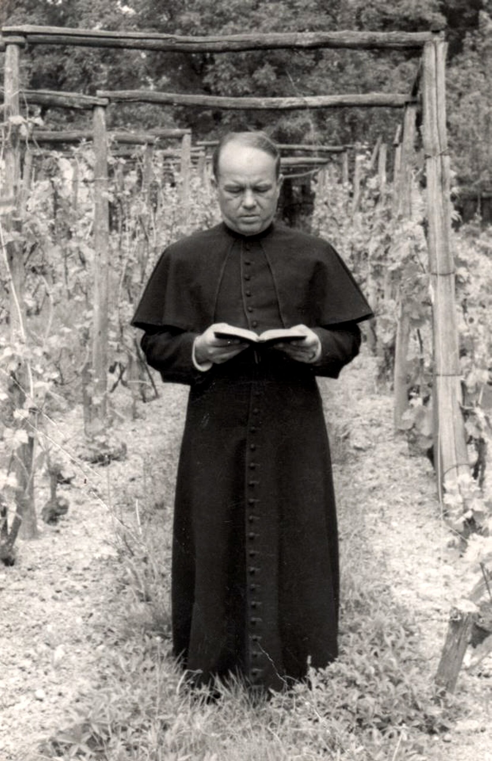 vaga-lakatos-plebanos