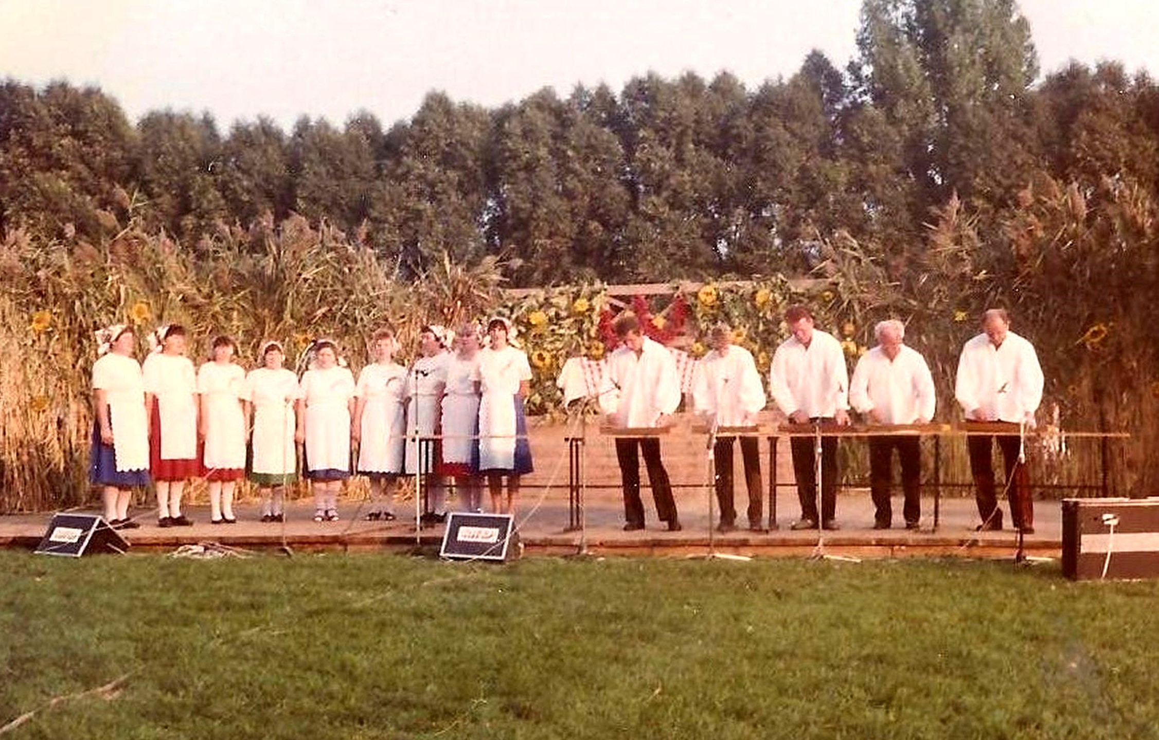szimo-citerasok-felnottek-csoportja-1990