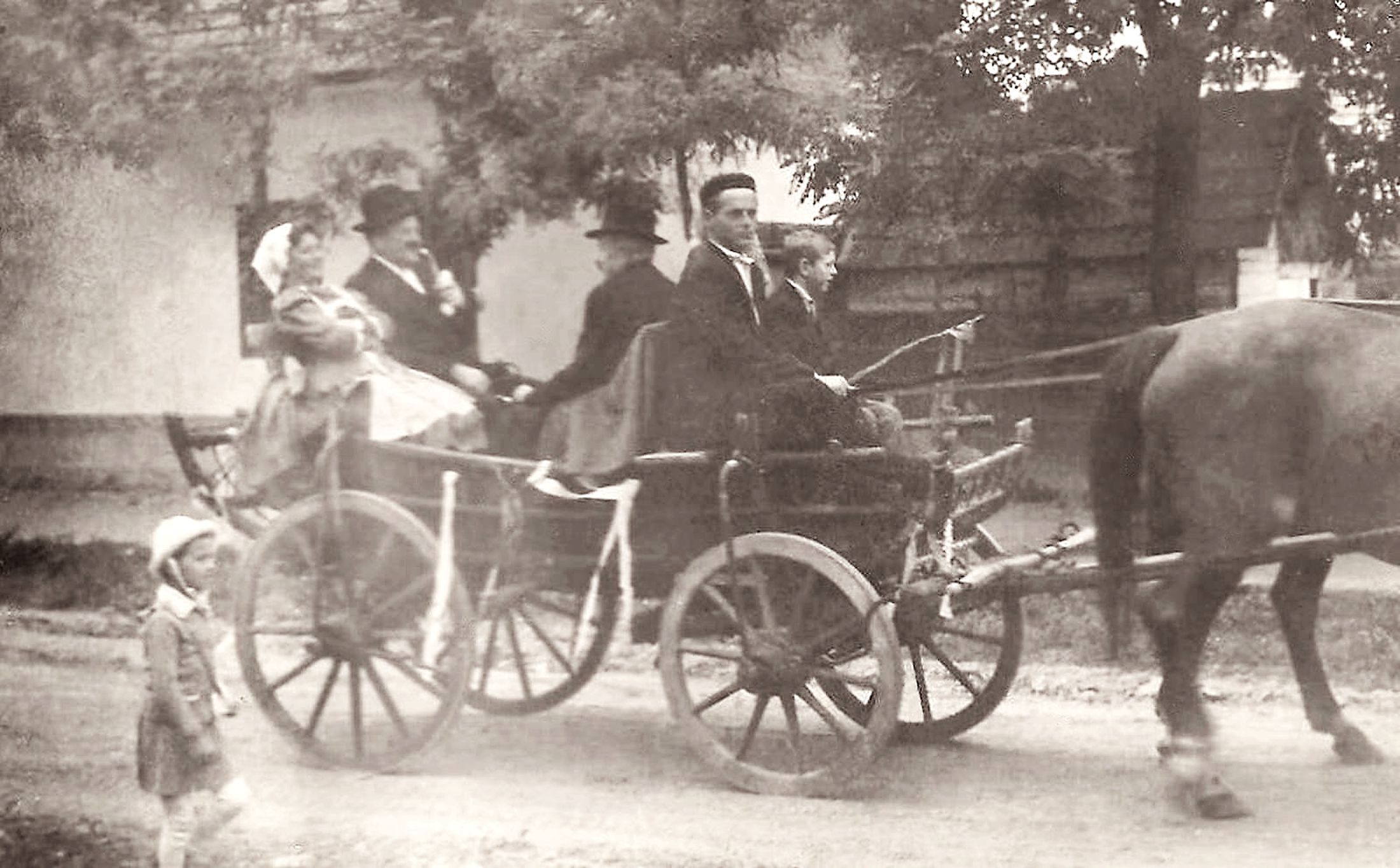 szimo-csalad-a-szekeren