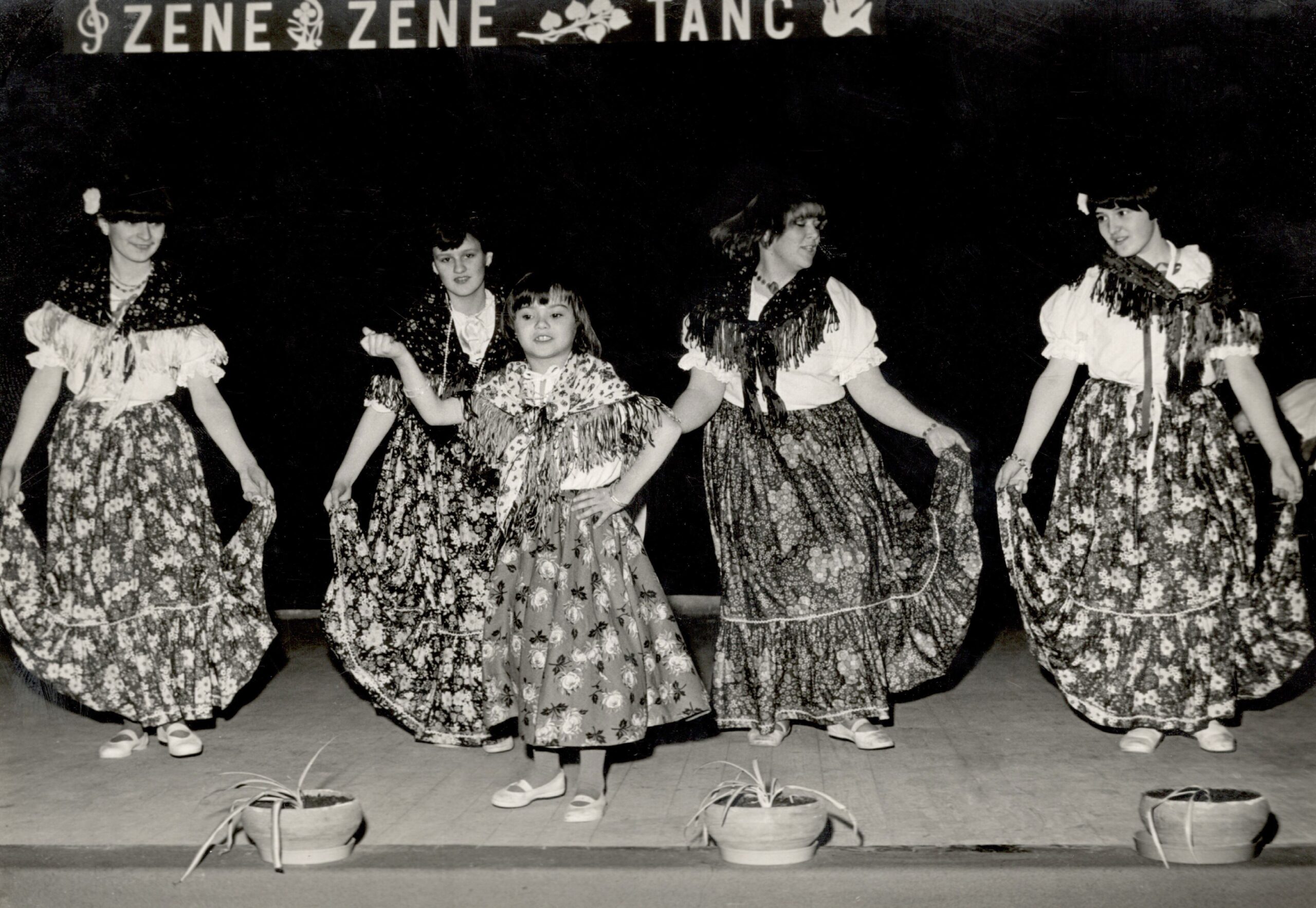 nemeshodos-aranykalasz-ciganytanc