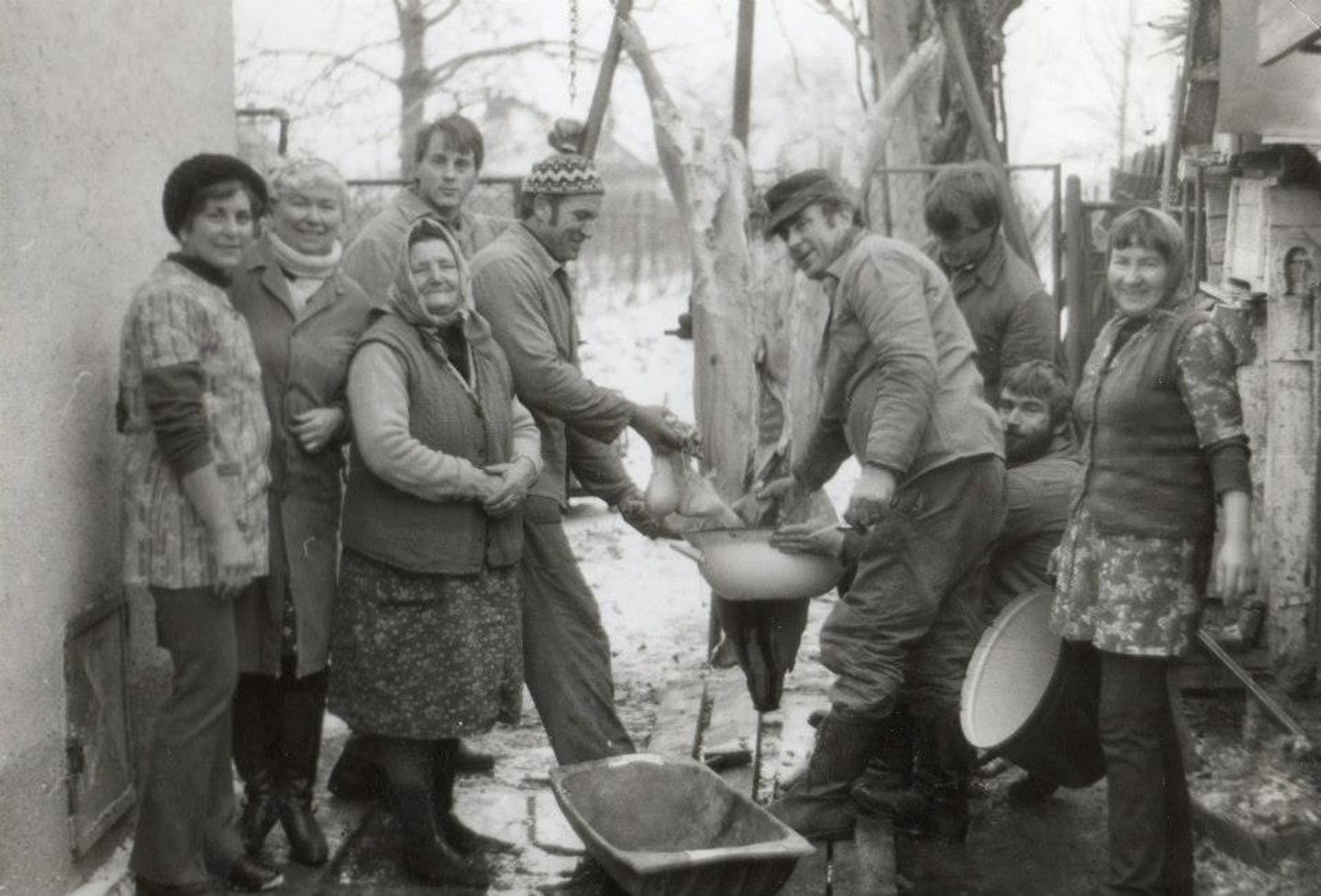 vaga-disznooles-1980