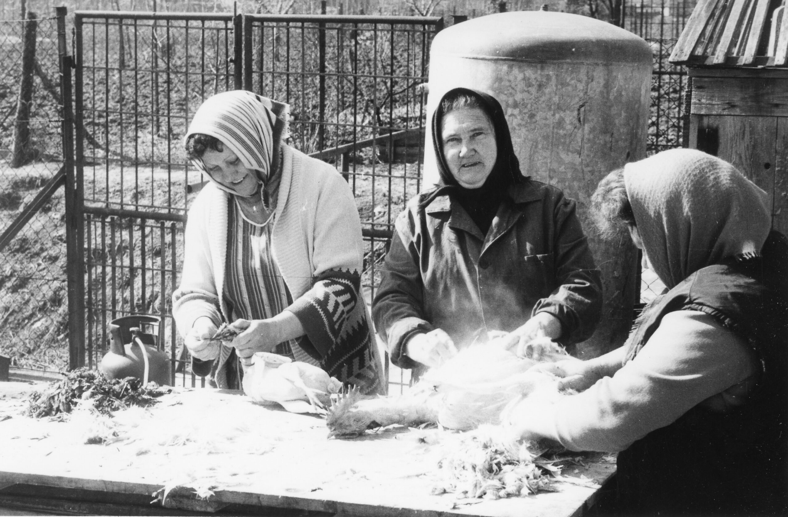 Eskuvoi-elokeszuletek-1