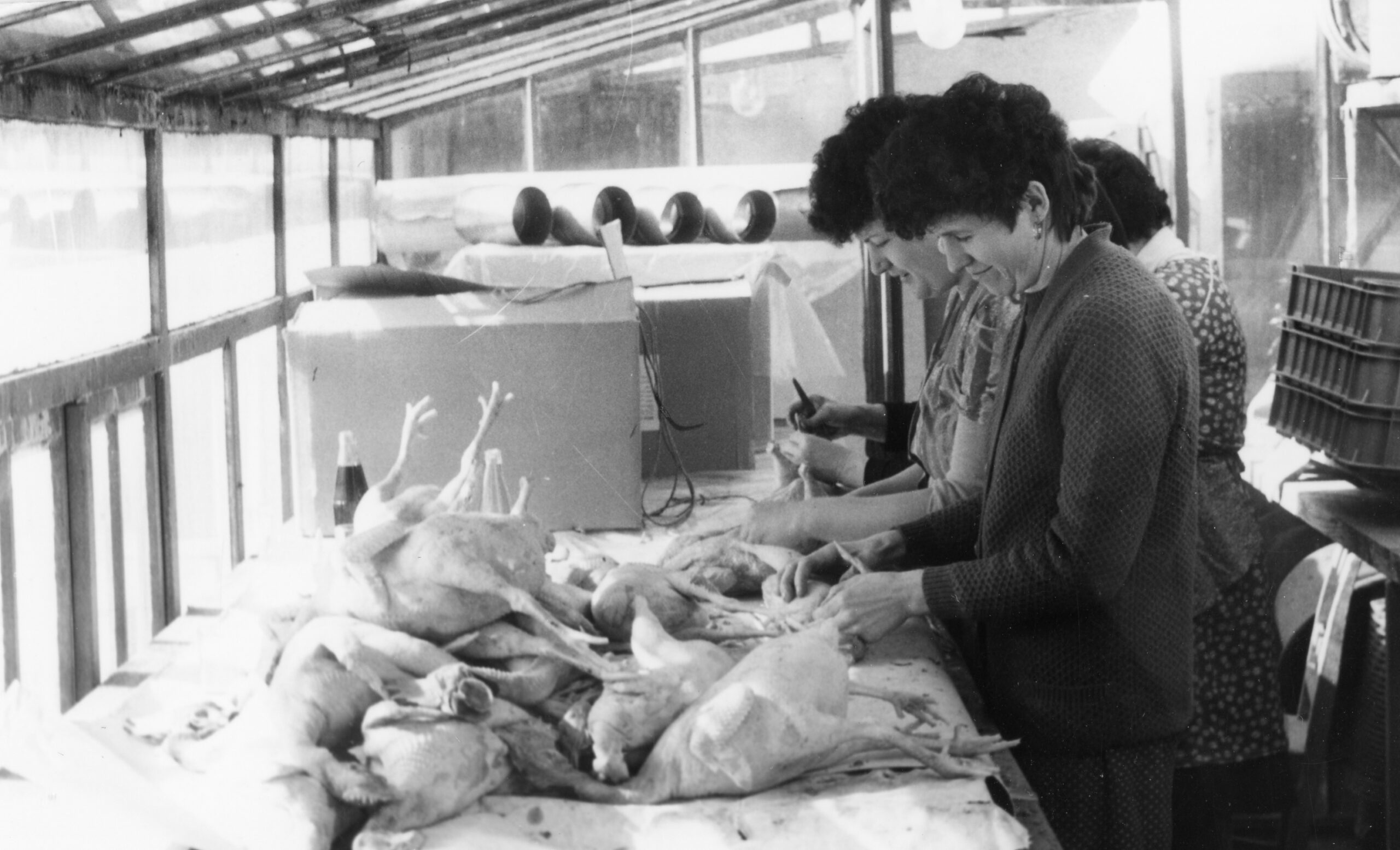 Eskuvoi-elokeszuletek-2