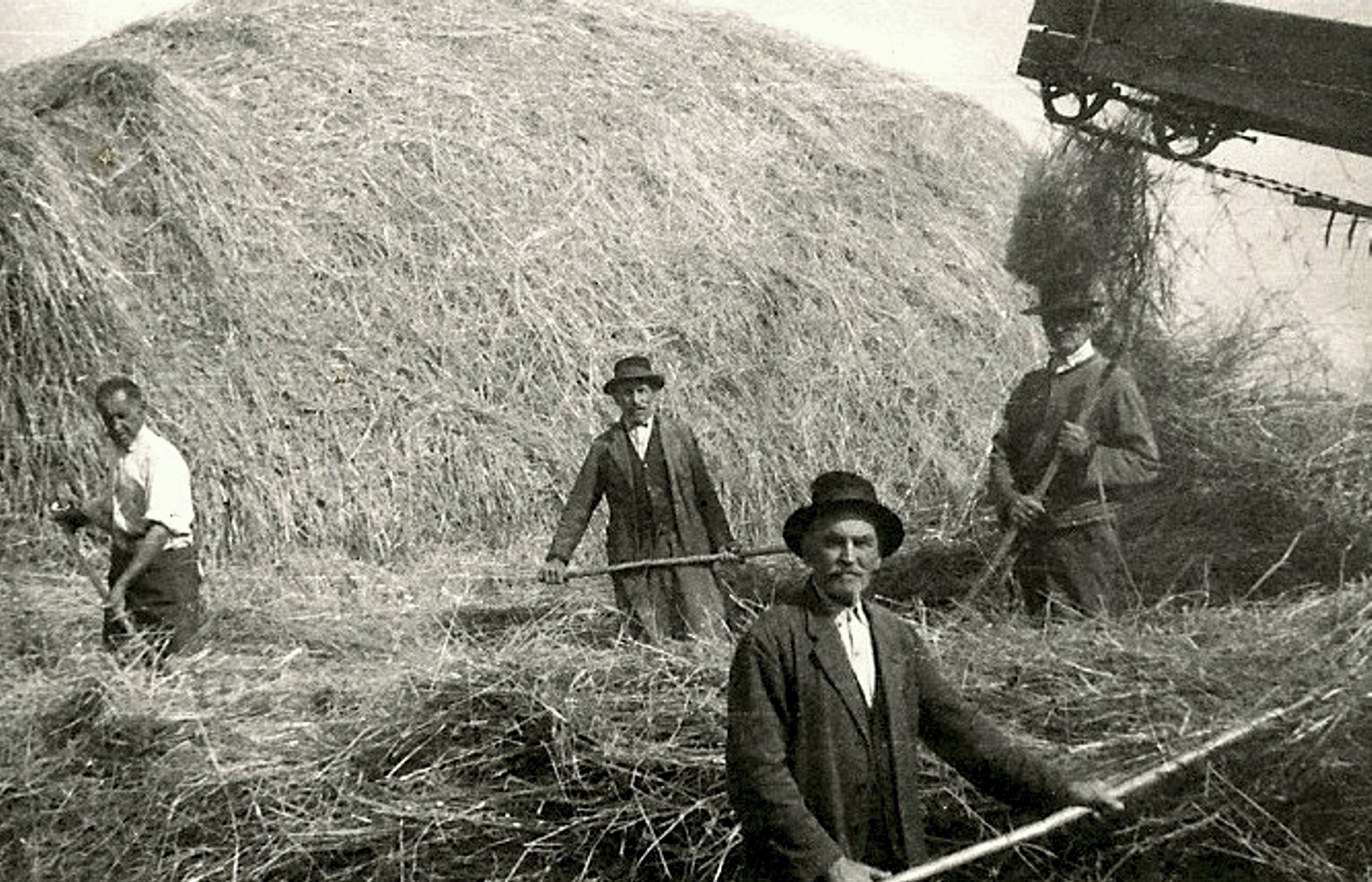 darnya-aratas-kazal-elevator