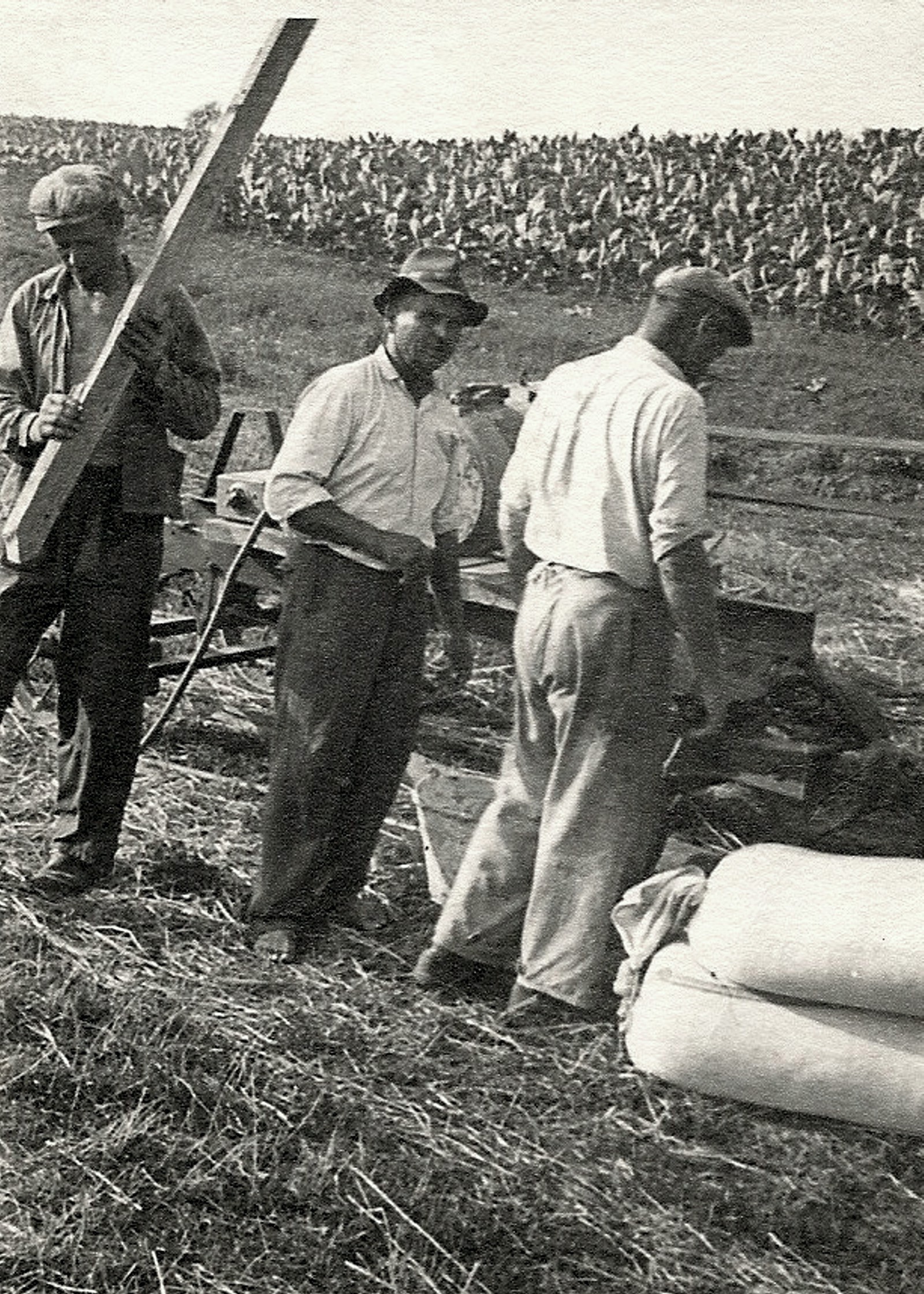 darnya-aratas-motor-zsakok