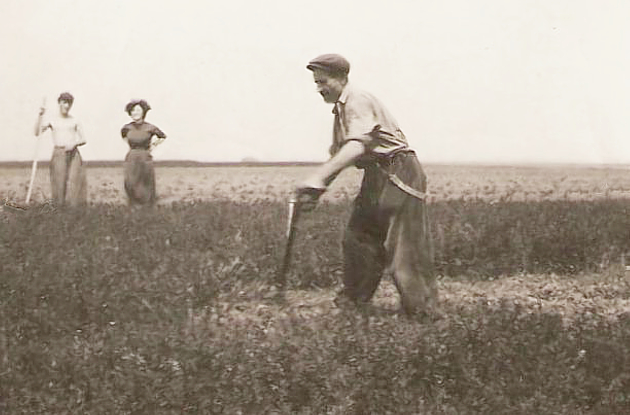 rete-id-SzalayGusztav kaszalas-kozben