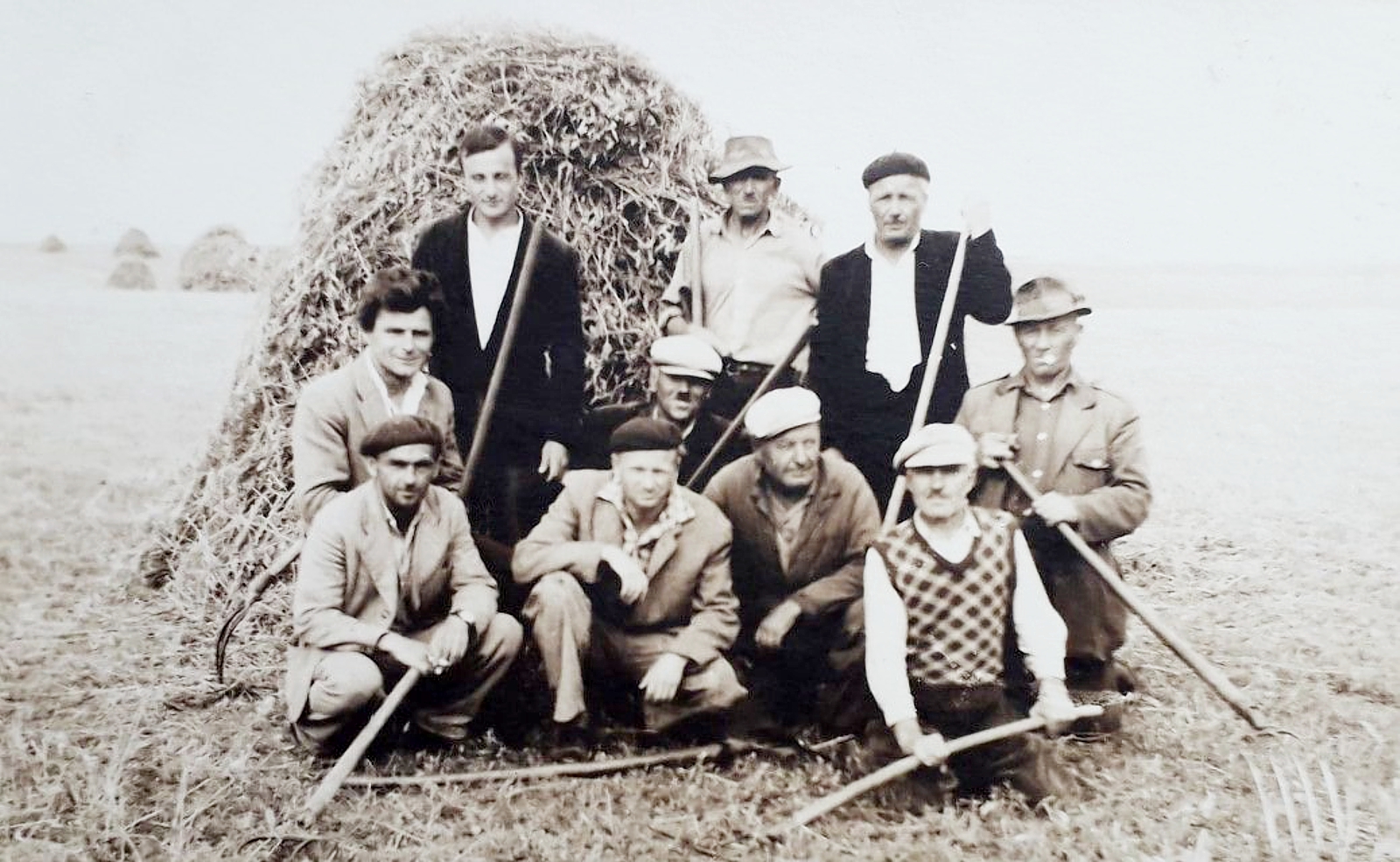 Madar_aratas_utan_1967_BorsanyBela-1a