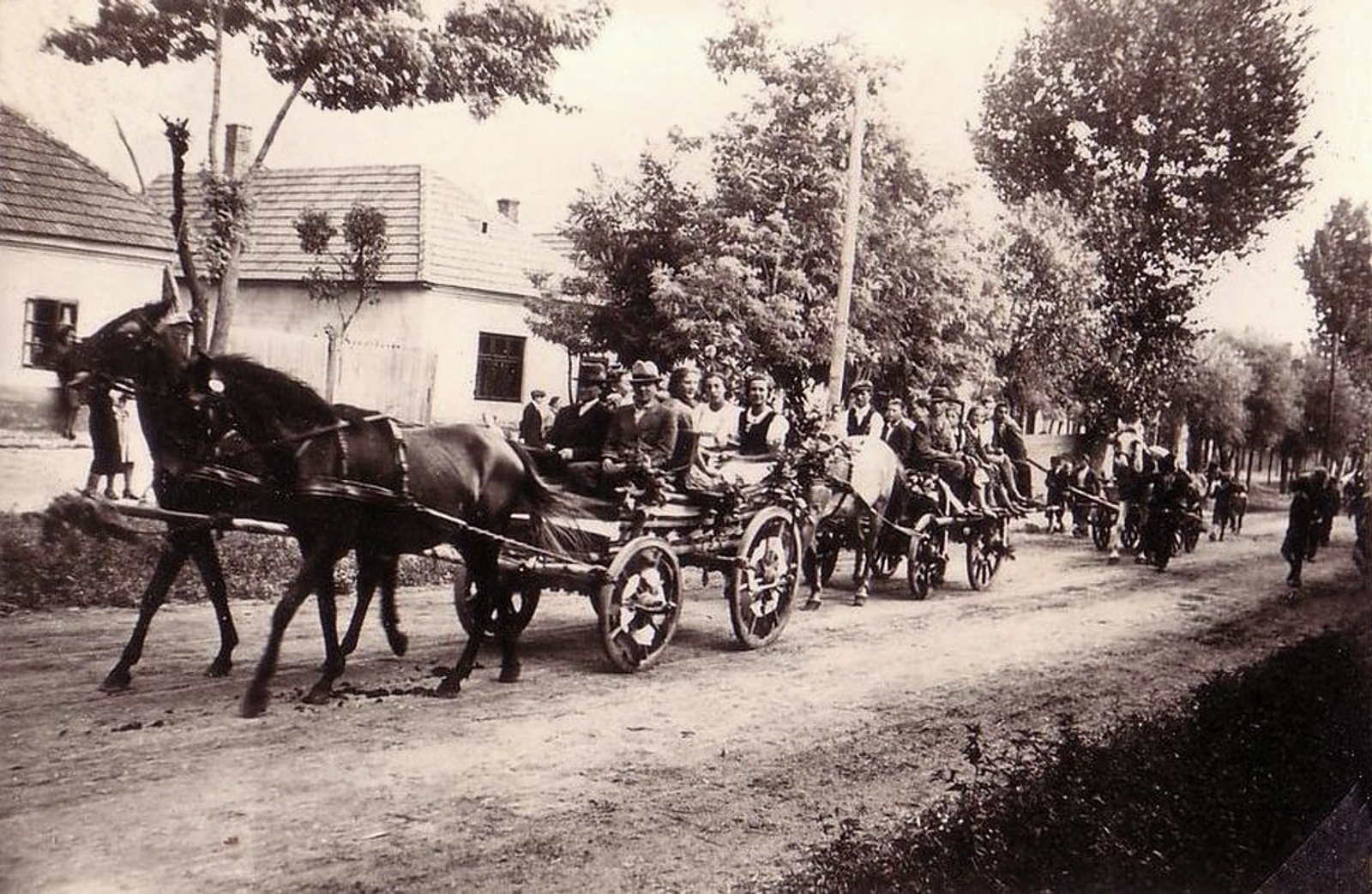 felsoszeli-szuret_143