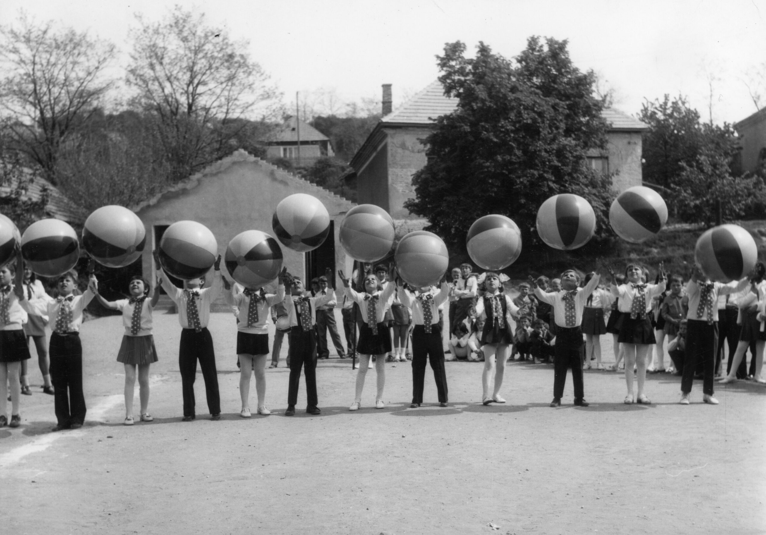 Madar_iskolairendezveny