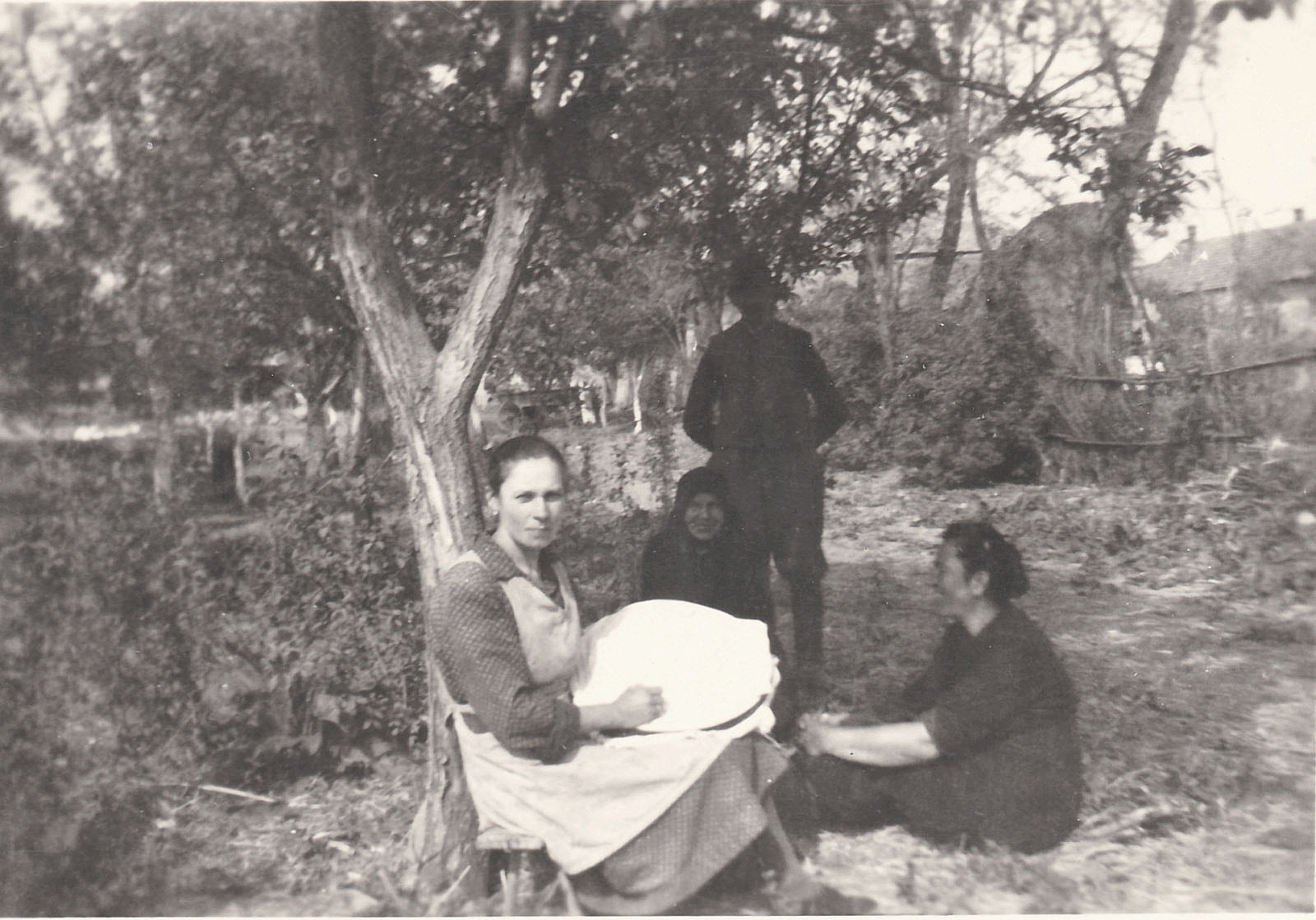 heteny_Csintalanne_azsuroz