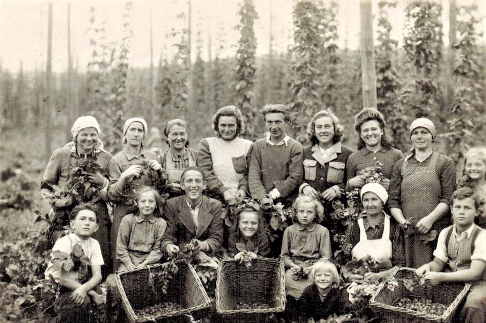 felsoszeli-komloszedes