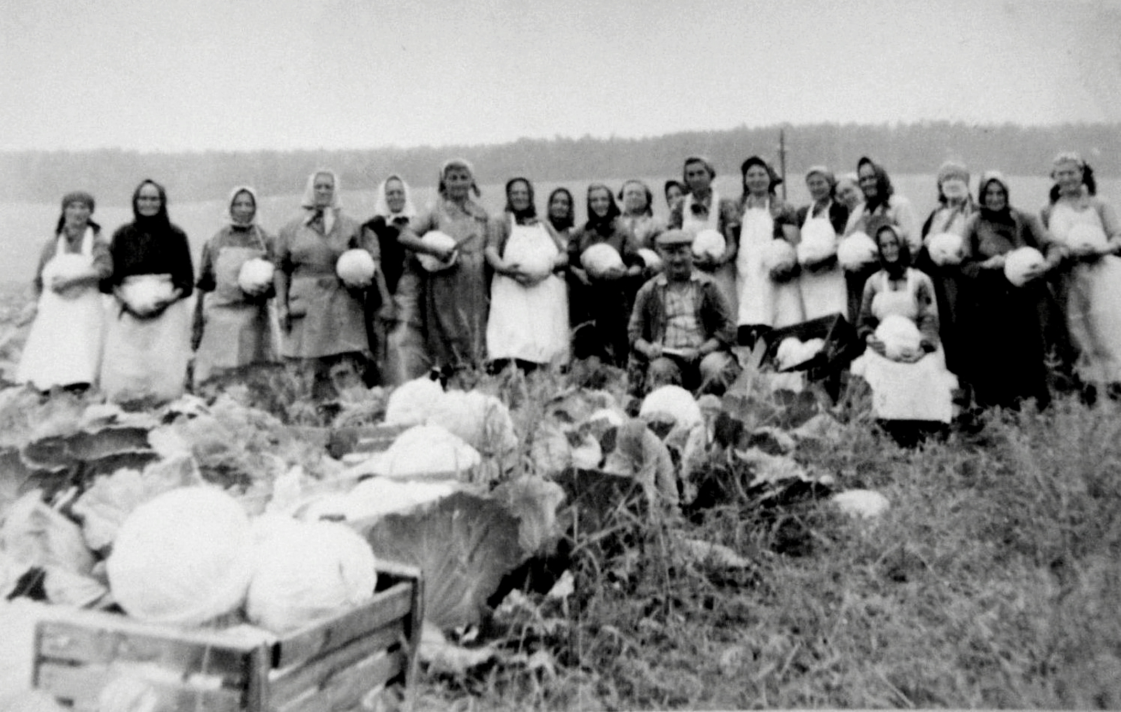 Kaposztaszedes_Nagybalog-1970