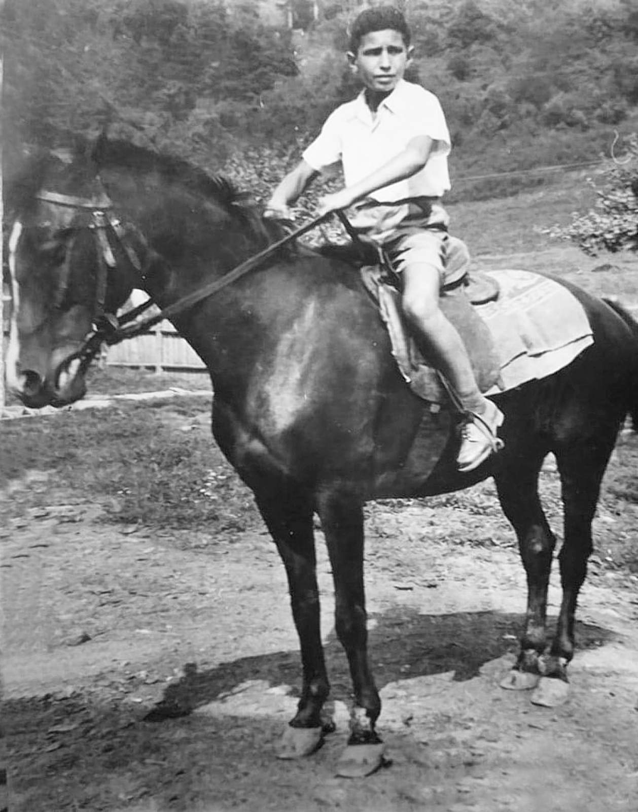 nagybalog-Lovaglo_fiu