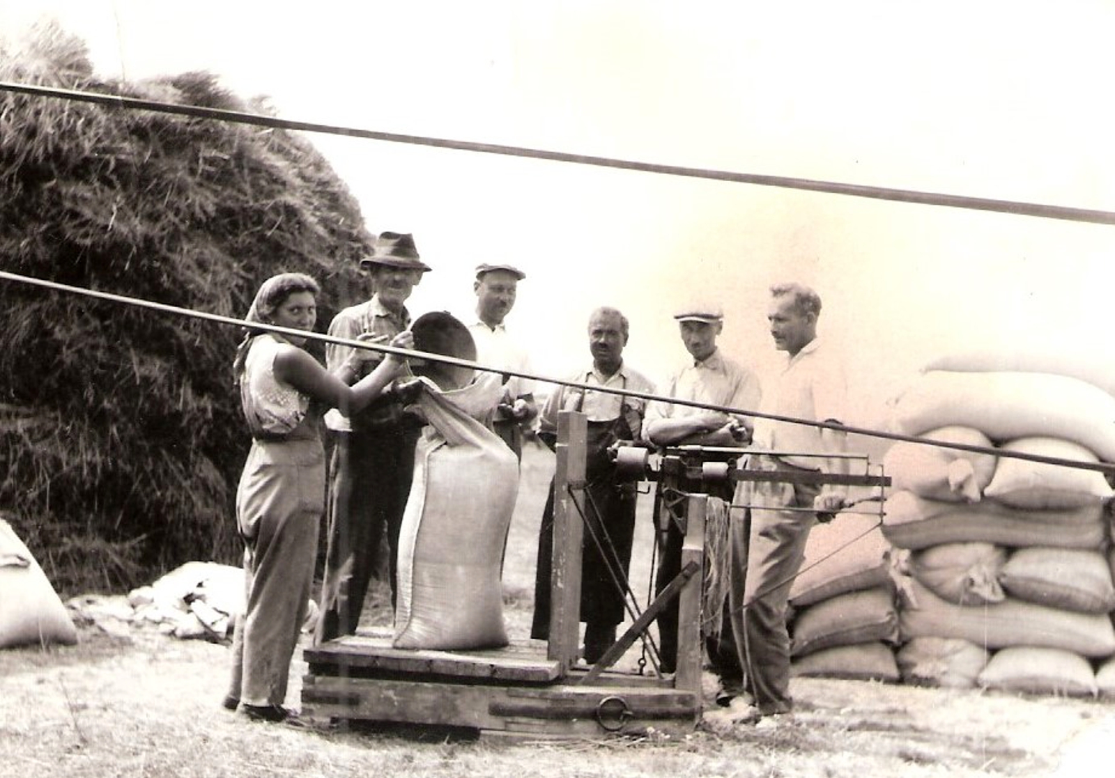 balogvolgy_termenymeres-aratas-utan