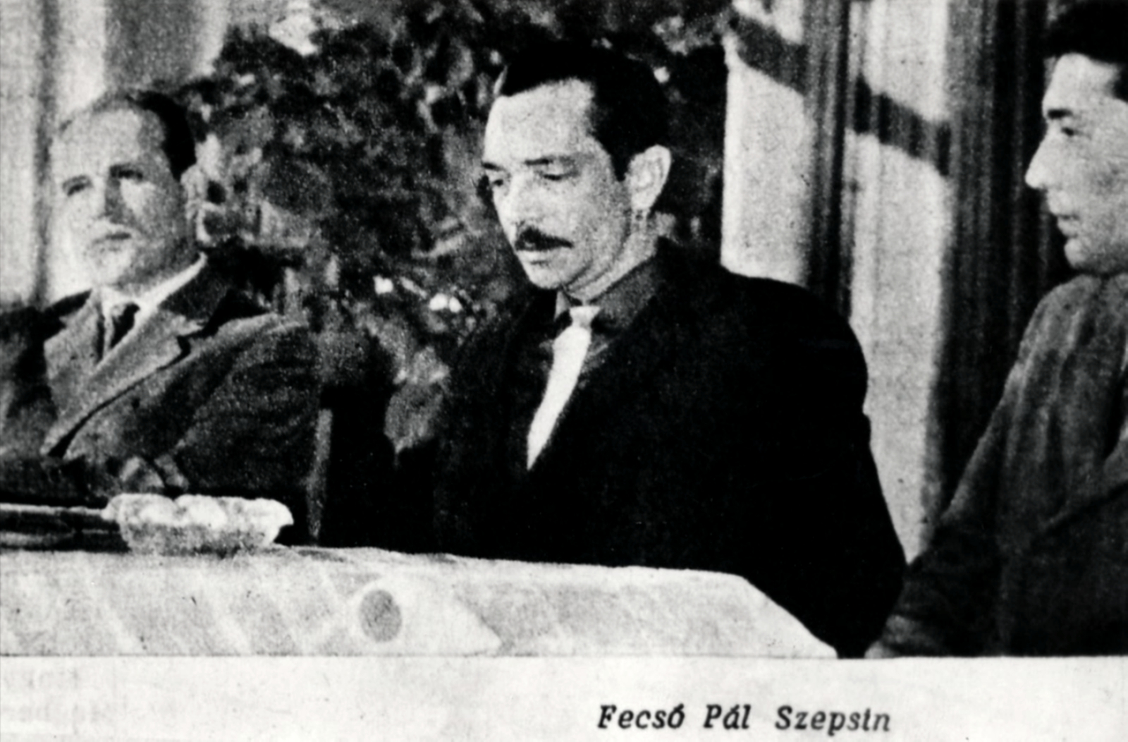 szepsi-fecso-pal