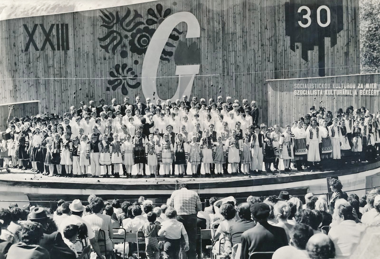 gombaszog-23-galamusor