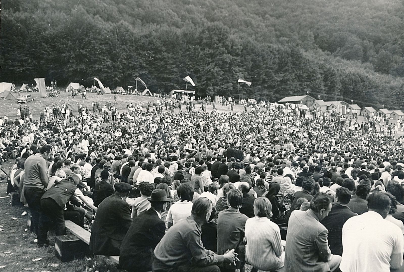 gombaszog-23-galamusor-1