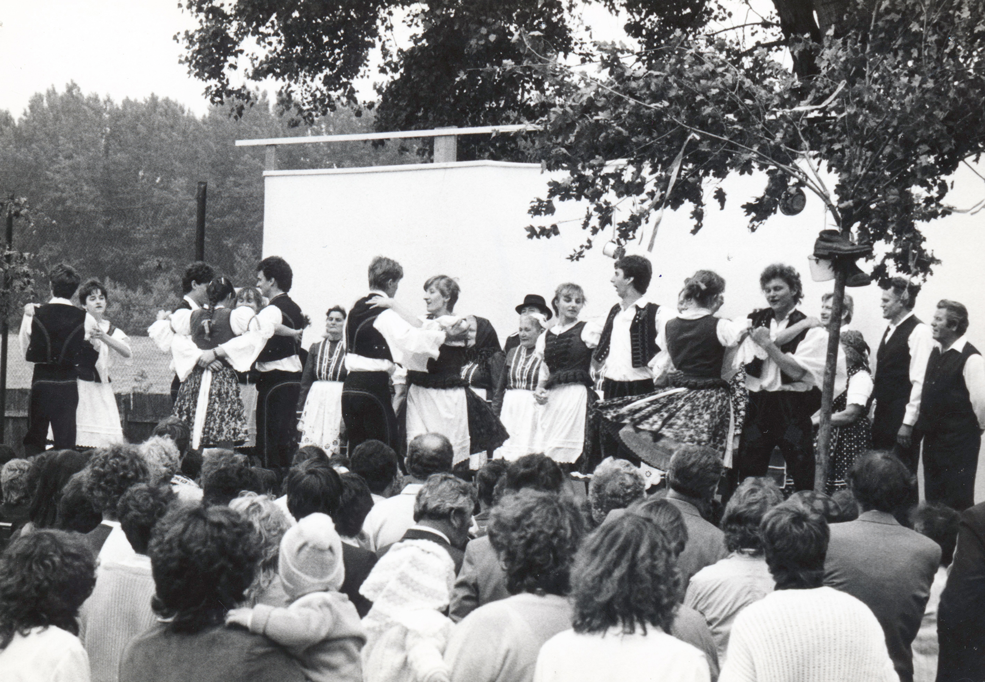 kurt-majusfa-allitas-szimon