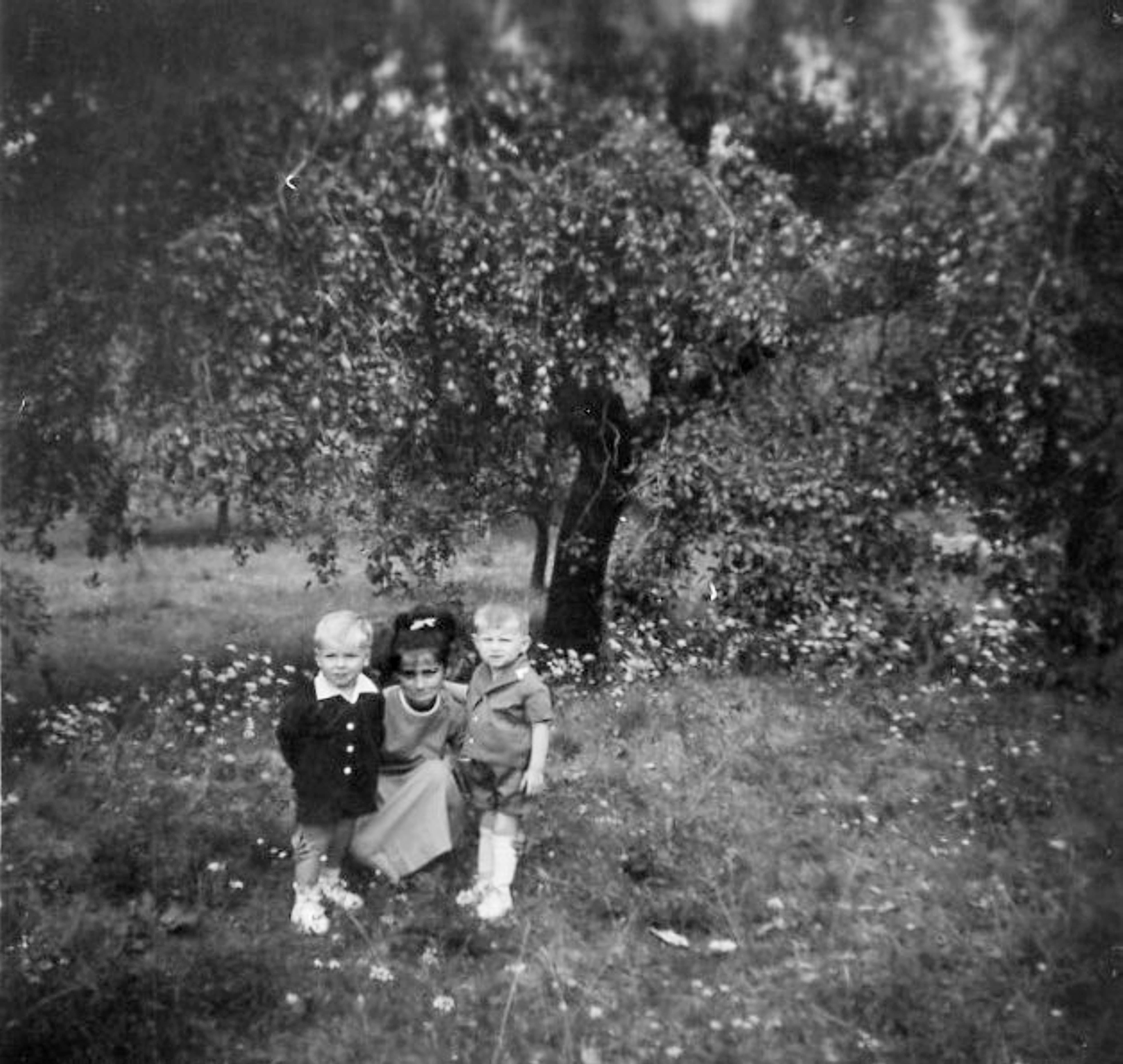 Karva_unokatestverek