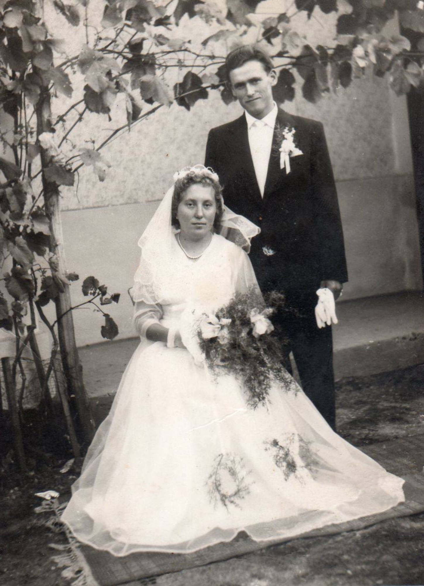 vaga-ifju-hazasok-1961